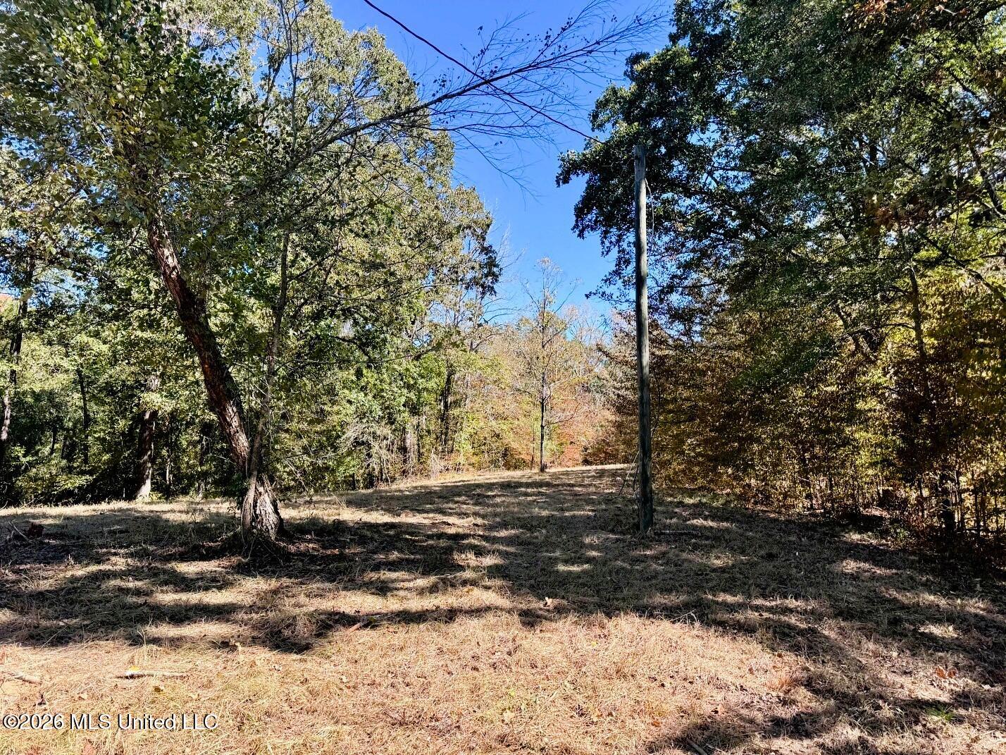 County Road 211 Property Photo 10