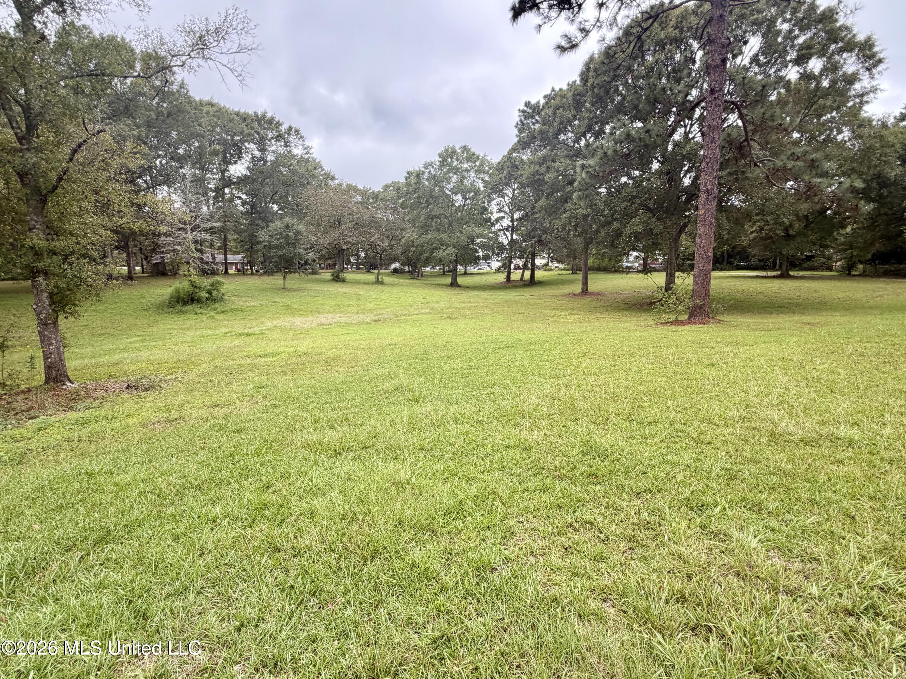 425 Spruce Street Property Photo 25