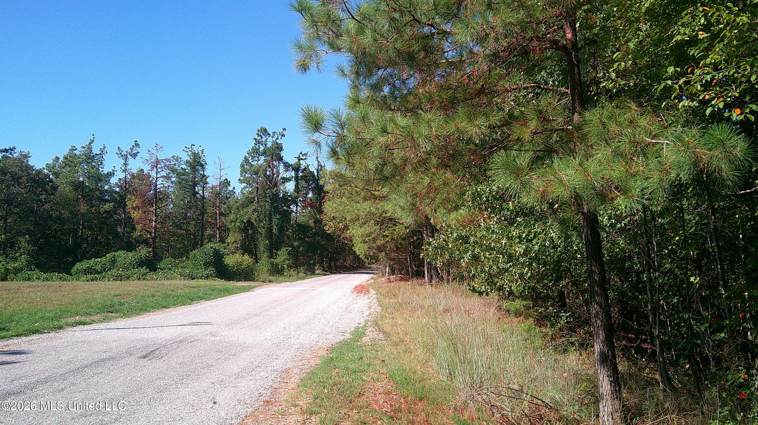 0 Joiner Road Property Photo 2