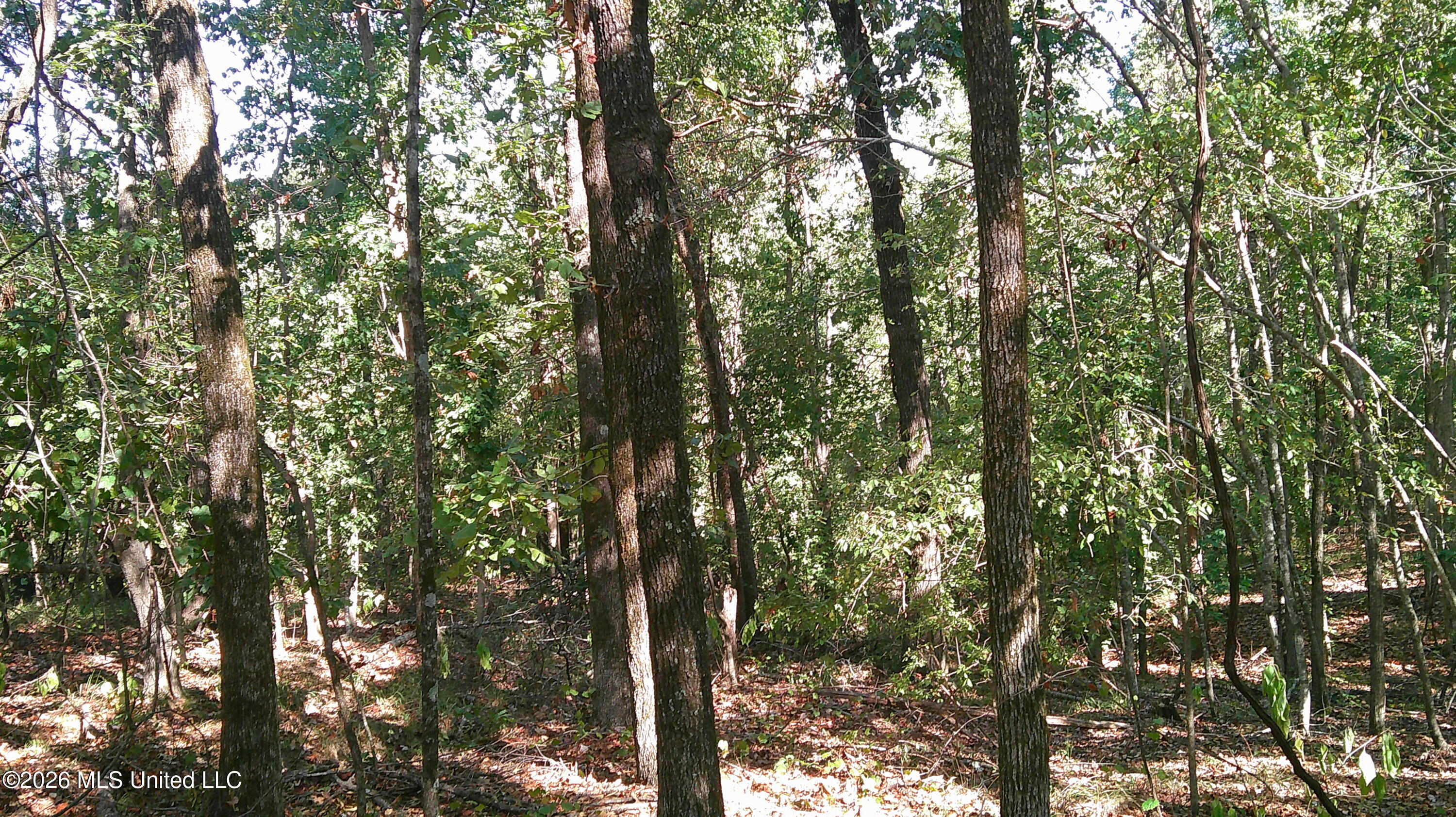 0 Joiner Road Property Photo 3