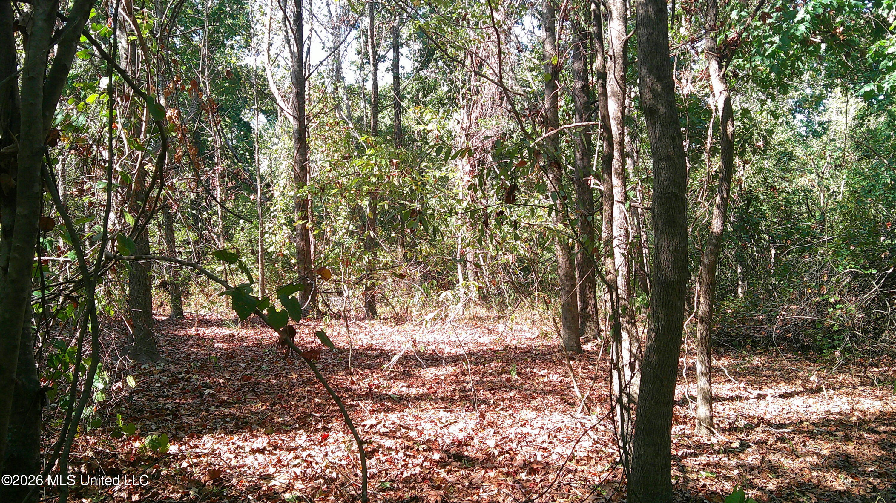 0 Joiner Road Property Photo 4