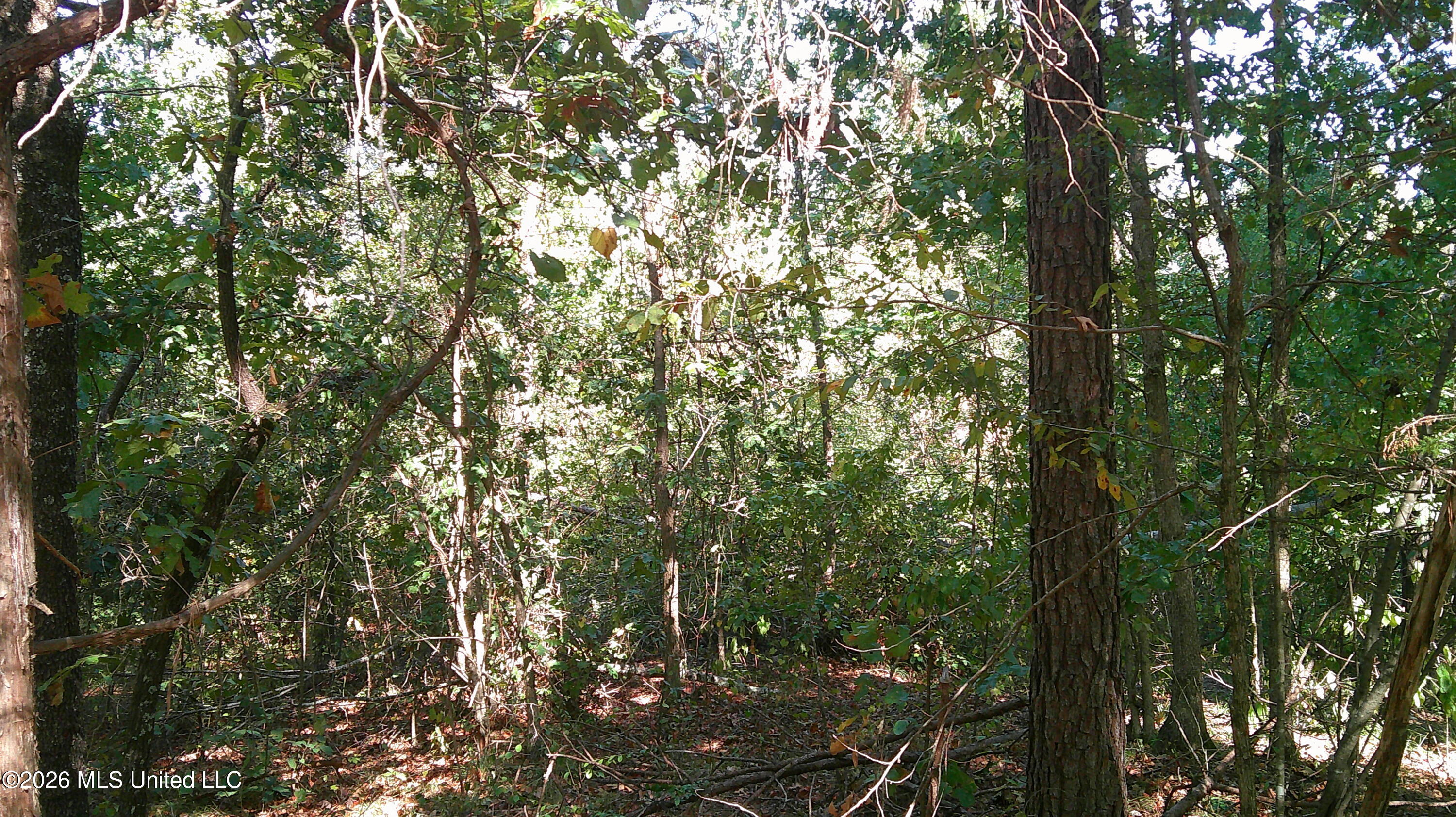 0 Joiner Road Property Photo 5