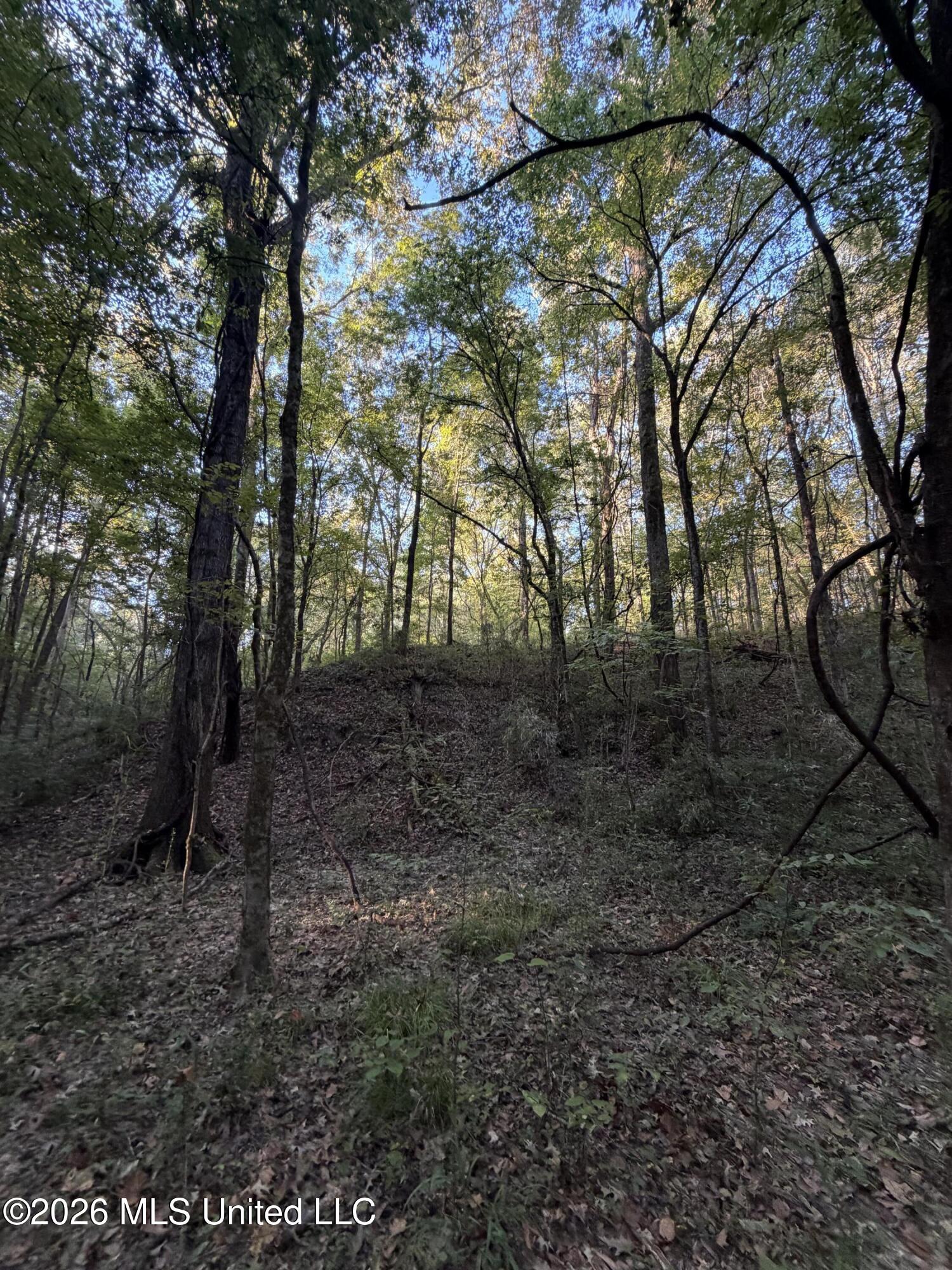 Nw Poplar Hill Road Property Photo 4