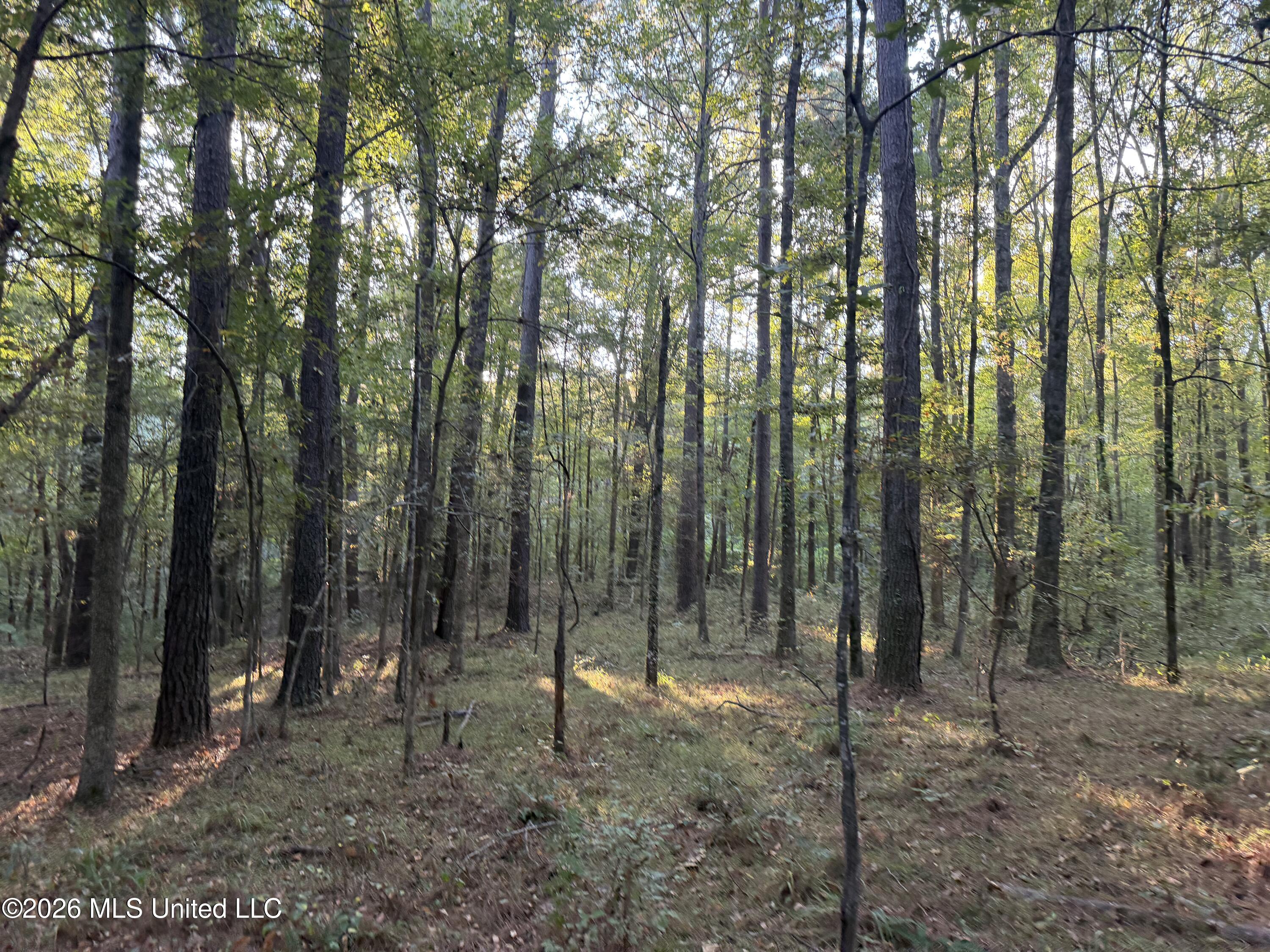 Nw Poplar Hill Road Property Photo 8
