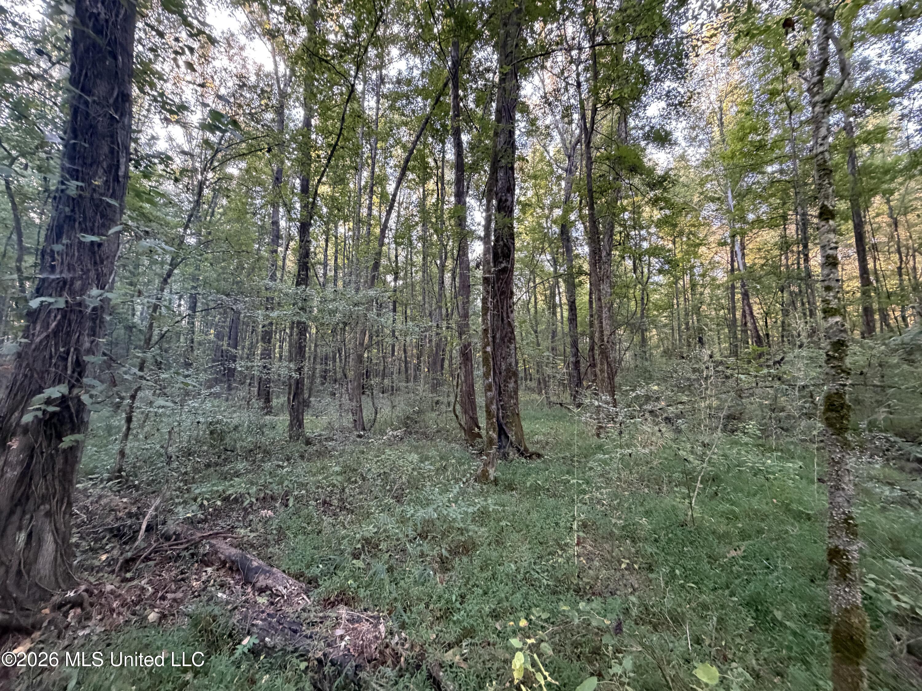 Nw Poplar Hill Road Property Photo 11