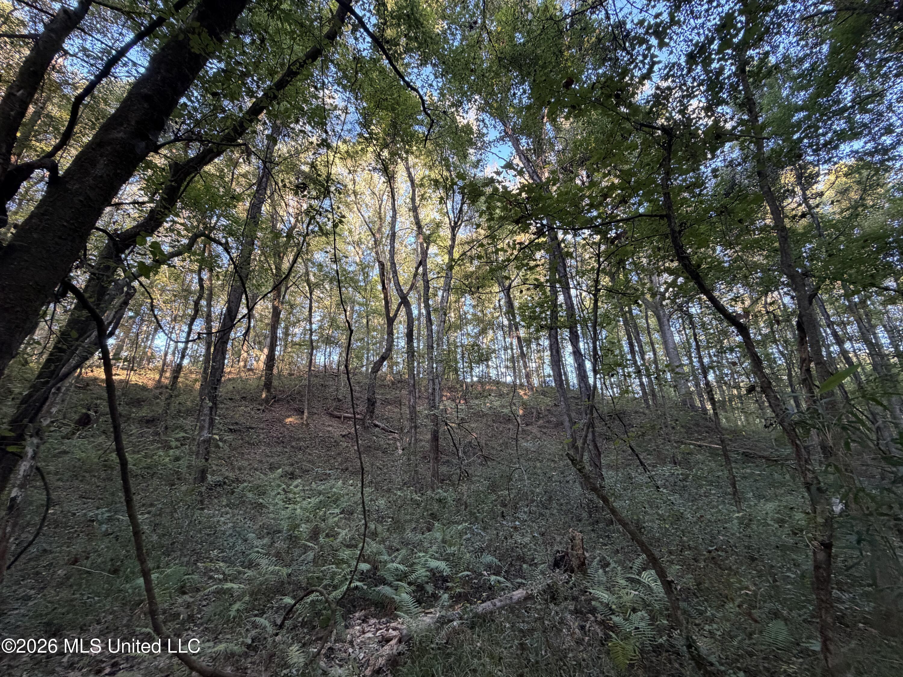 Nw Poplar Hill Road Property Photo 12