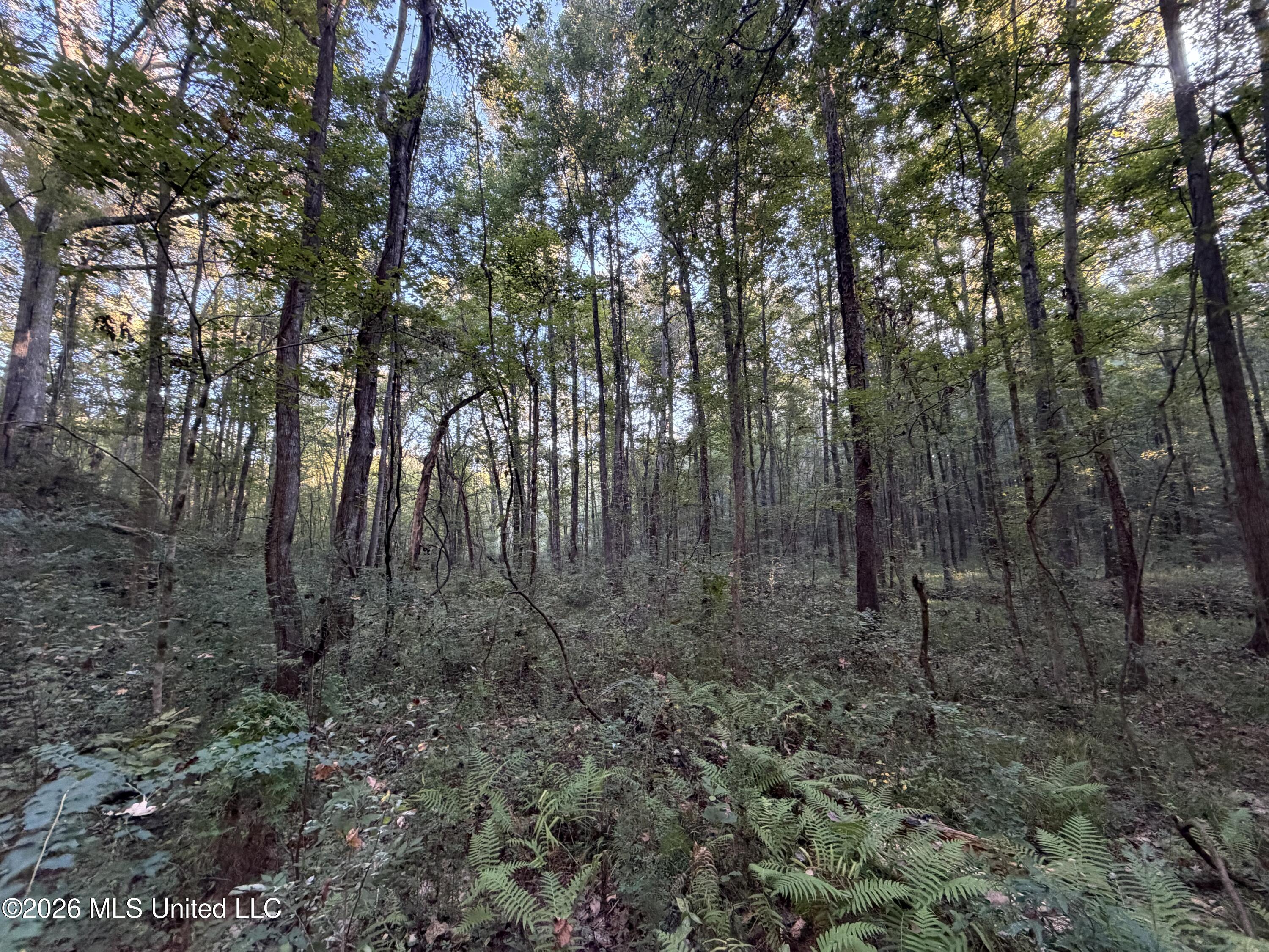 Nw Poplar Hill Road Property Photo 13