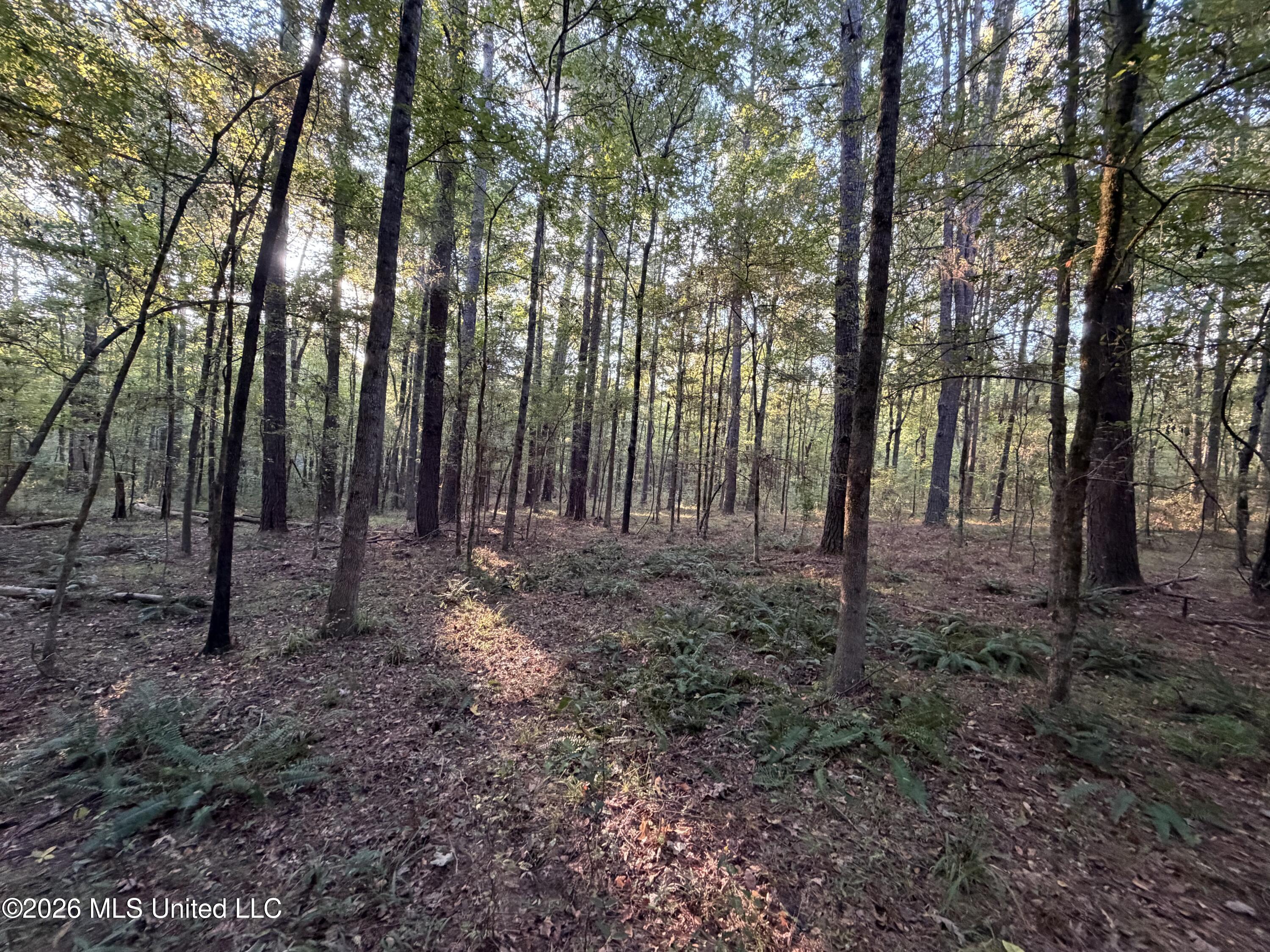 Nw Poplar Hill Road Property Photo 15