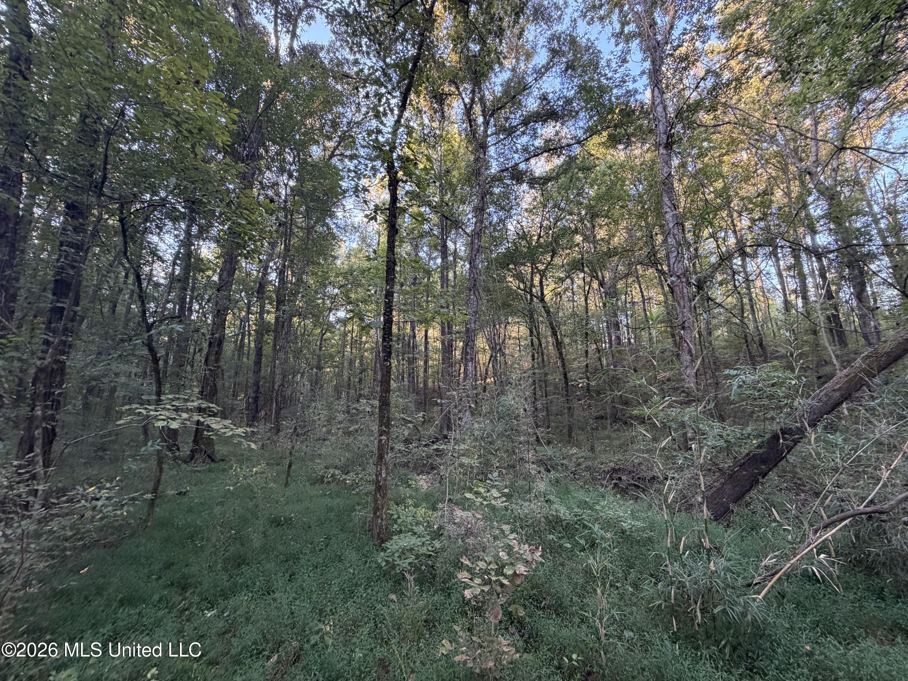 Nw Poplar Hill Road Property Photo 16