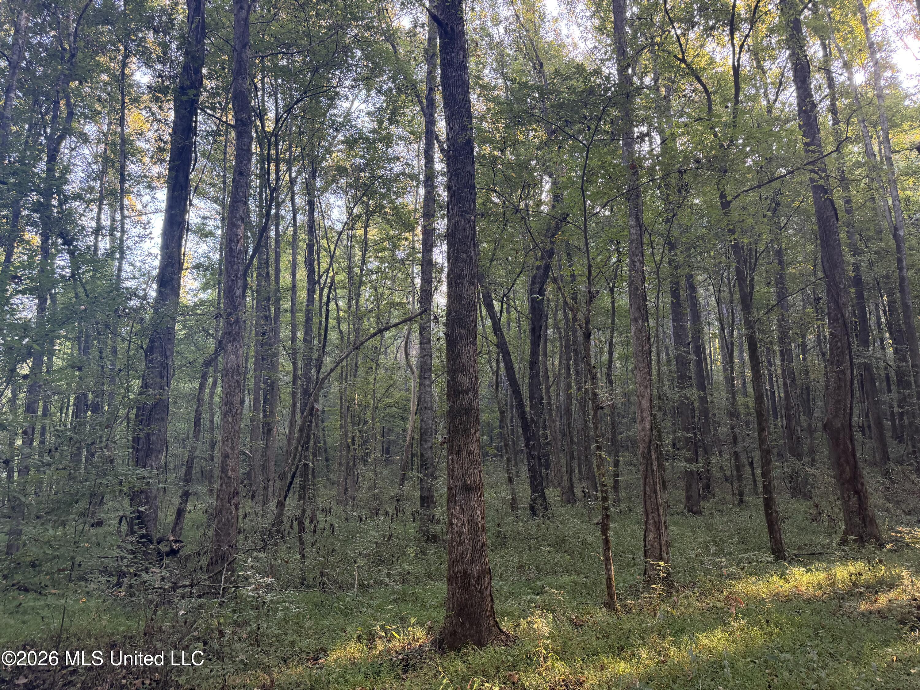 Nw Poplar Hill Road Property Photo 17