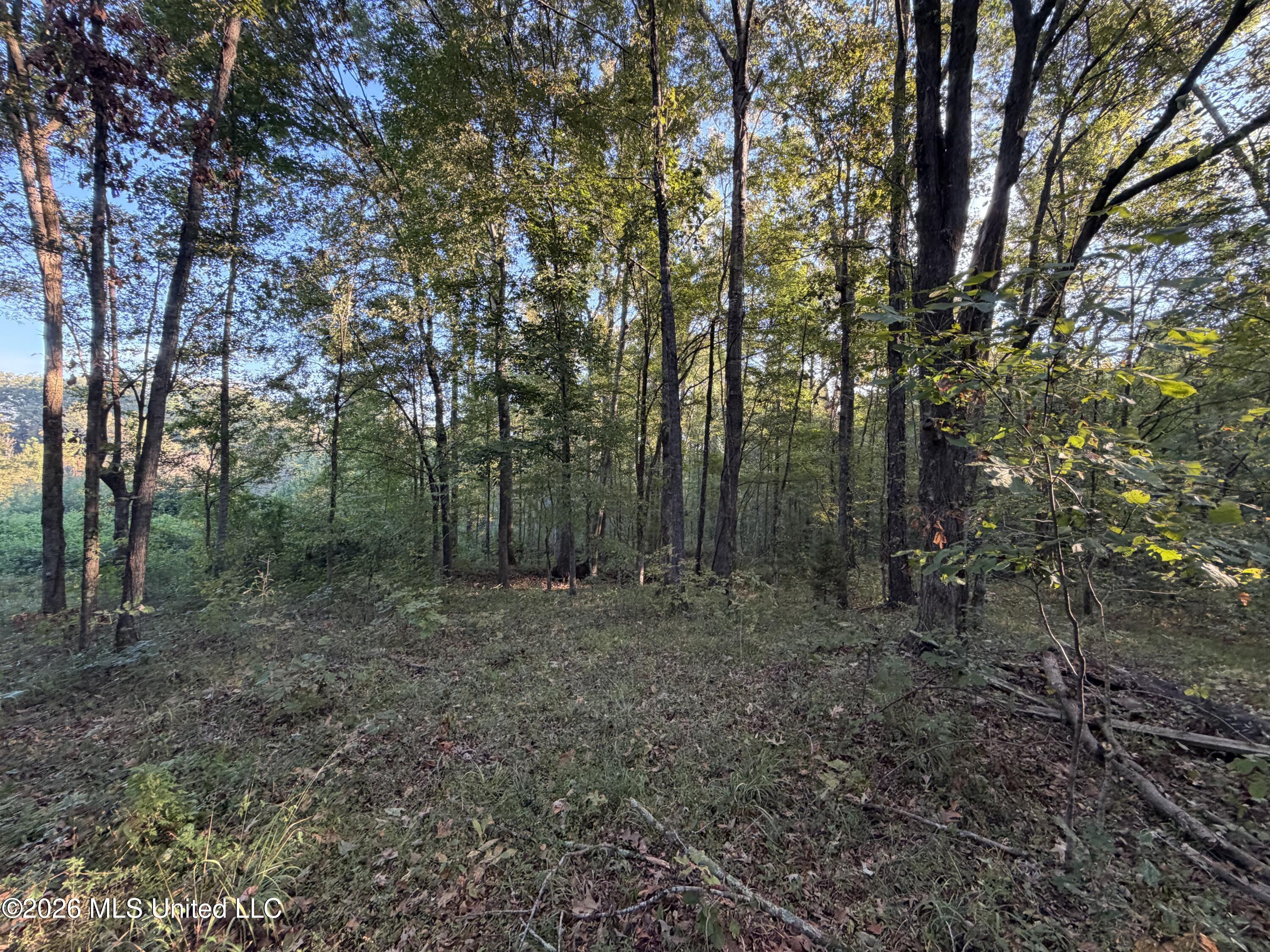 Nw Poplar Hill Road Property Photo 19