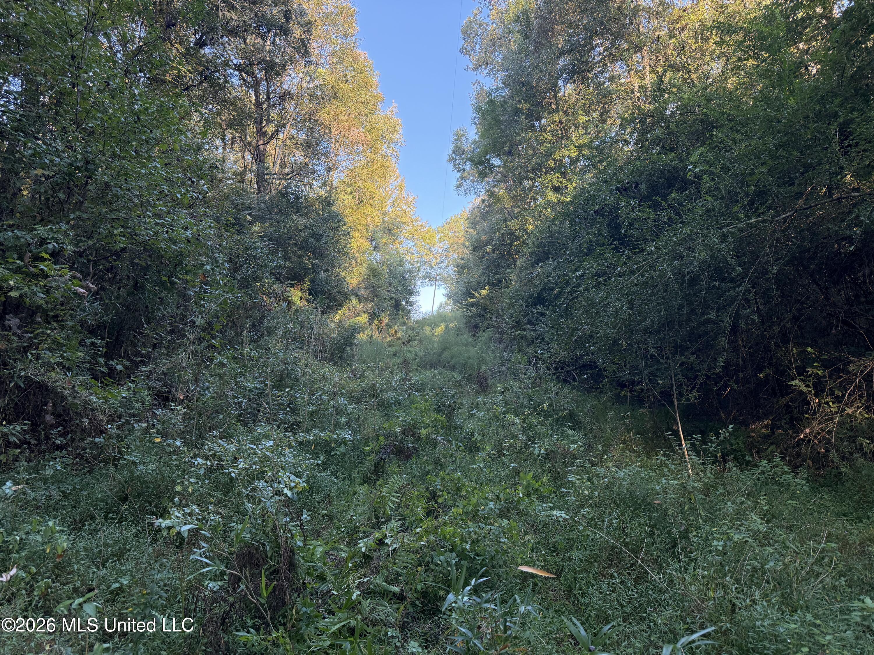 Nw Poplar Hill Road Property Photo 25