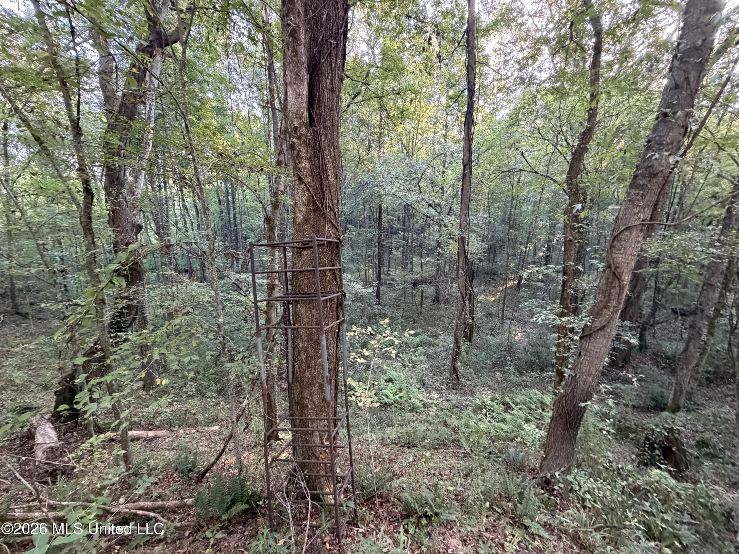 Nw Poplar Hill Road Property Photo 26