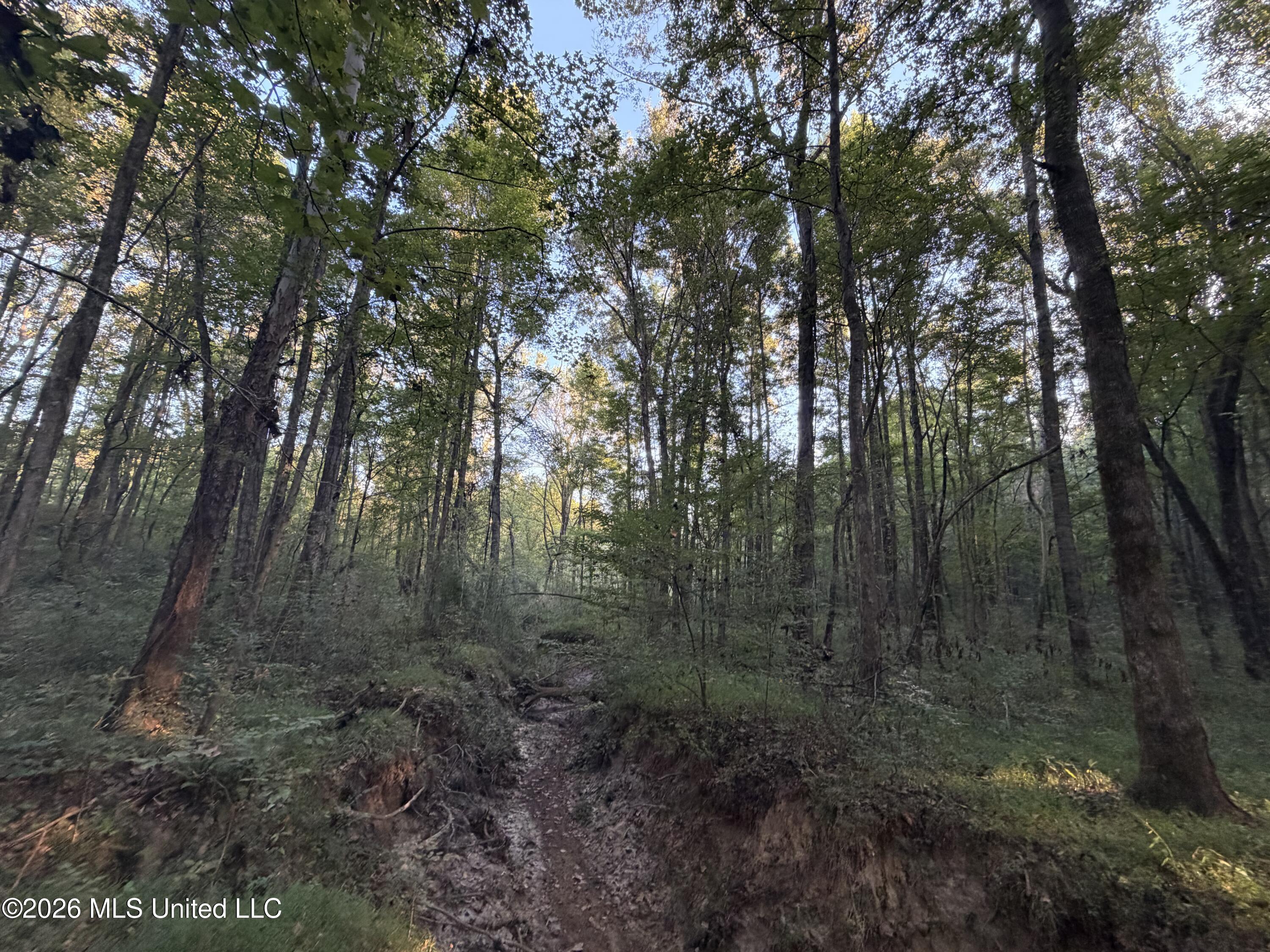 Nw Poplar Hill Road Property Photo 27