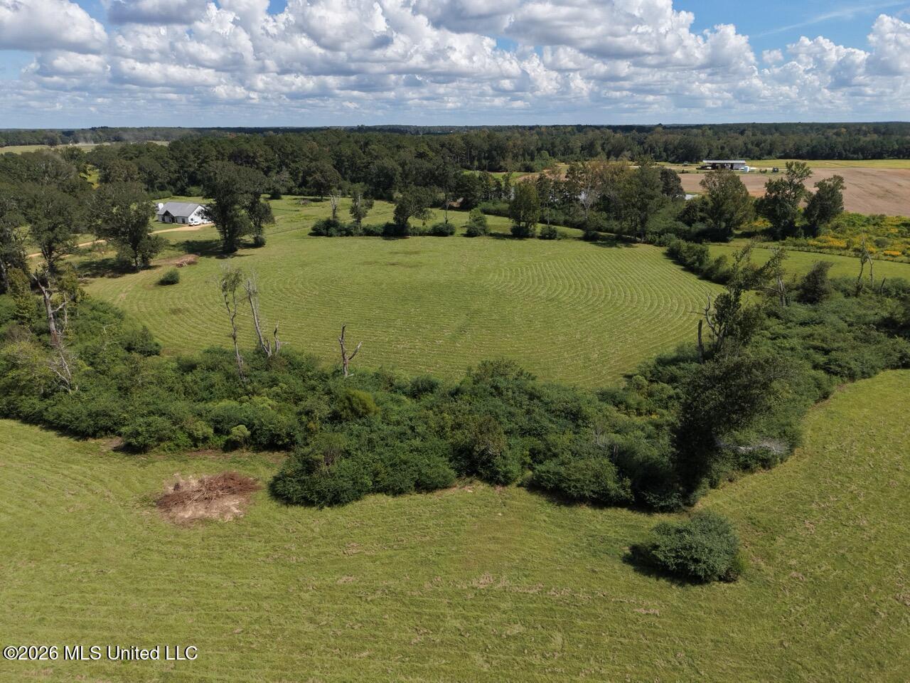 6793 Brown Road Property Photo 11