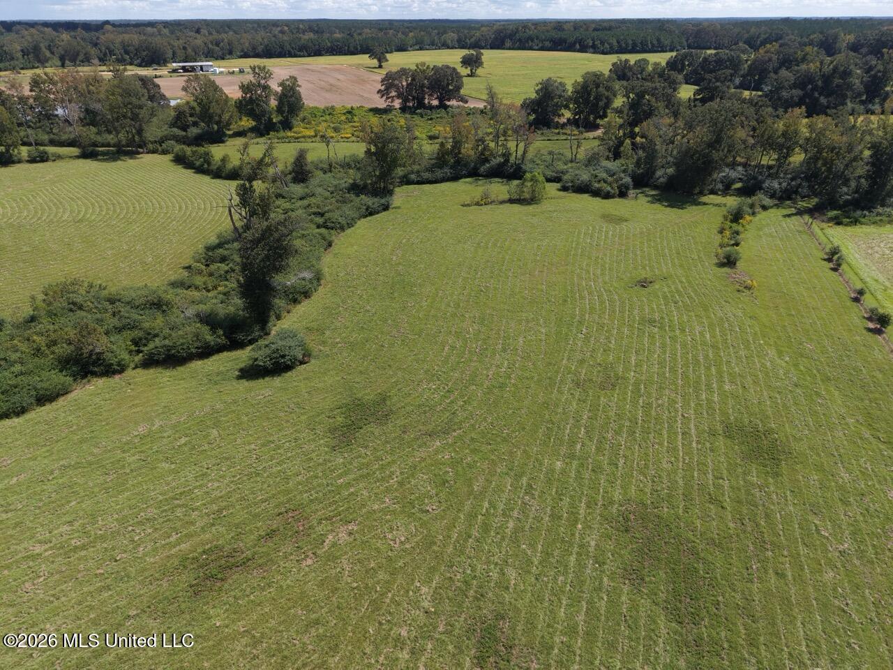 6793 Brown Road Property Photo 13