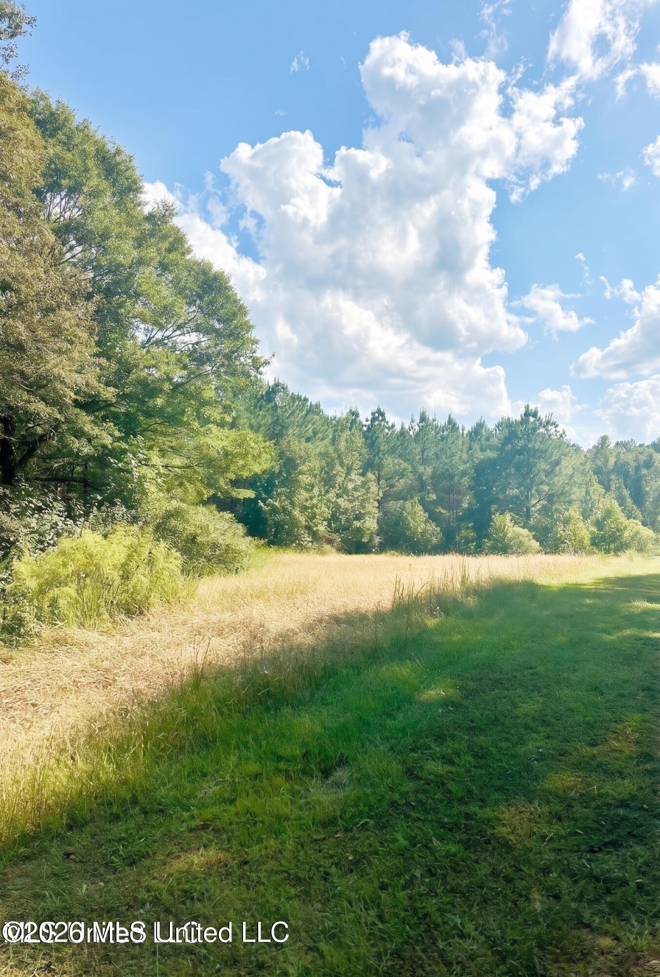 4811 Holcomb-sweethome Road Property Photo 2