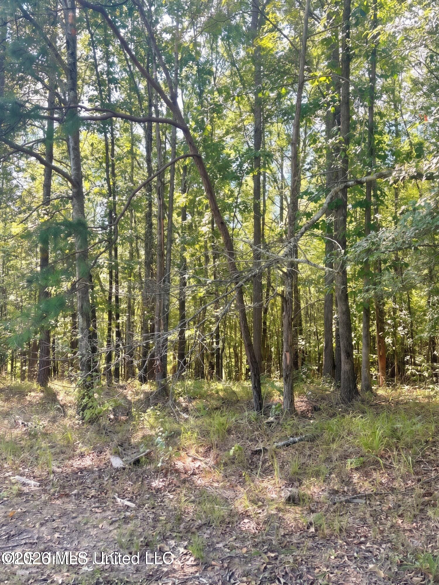 4811 Holcomb-sweethome Road Property Photo 3