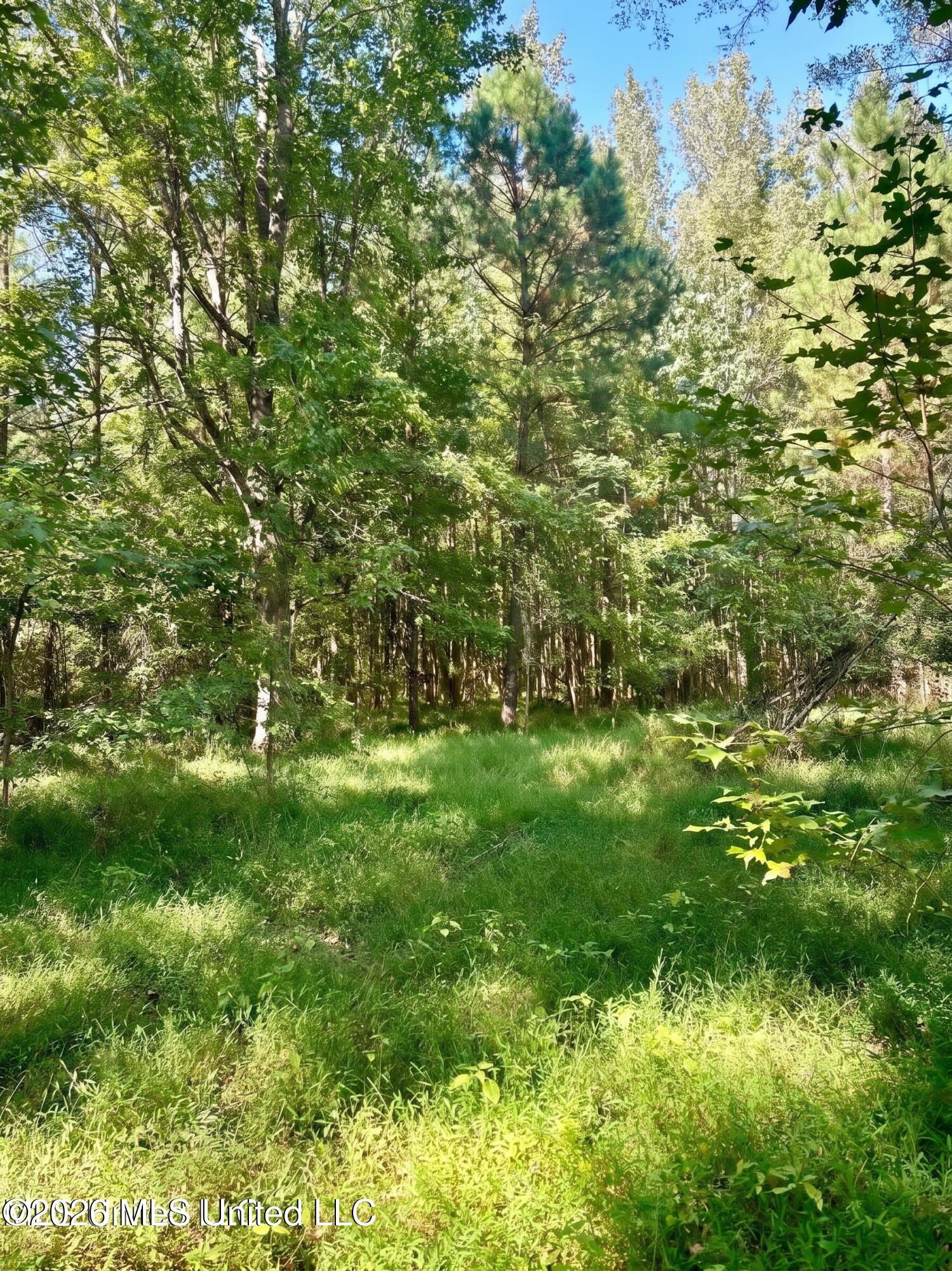 4811 Holcomb-sweethome Road Property Photo 4