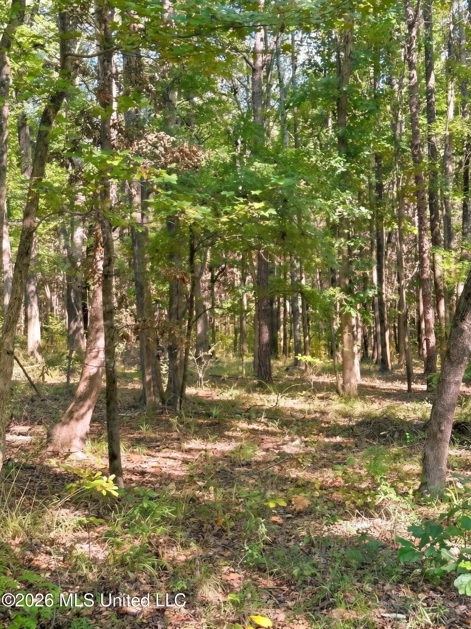 4811 Holcomb-sweethome Road Property Photo 5