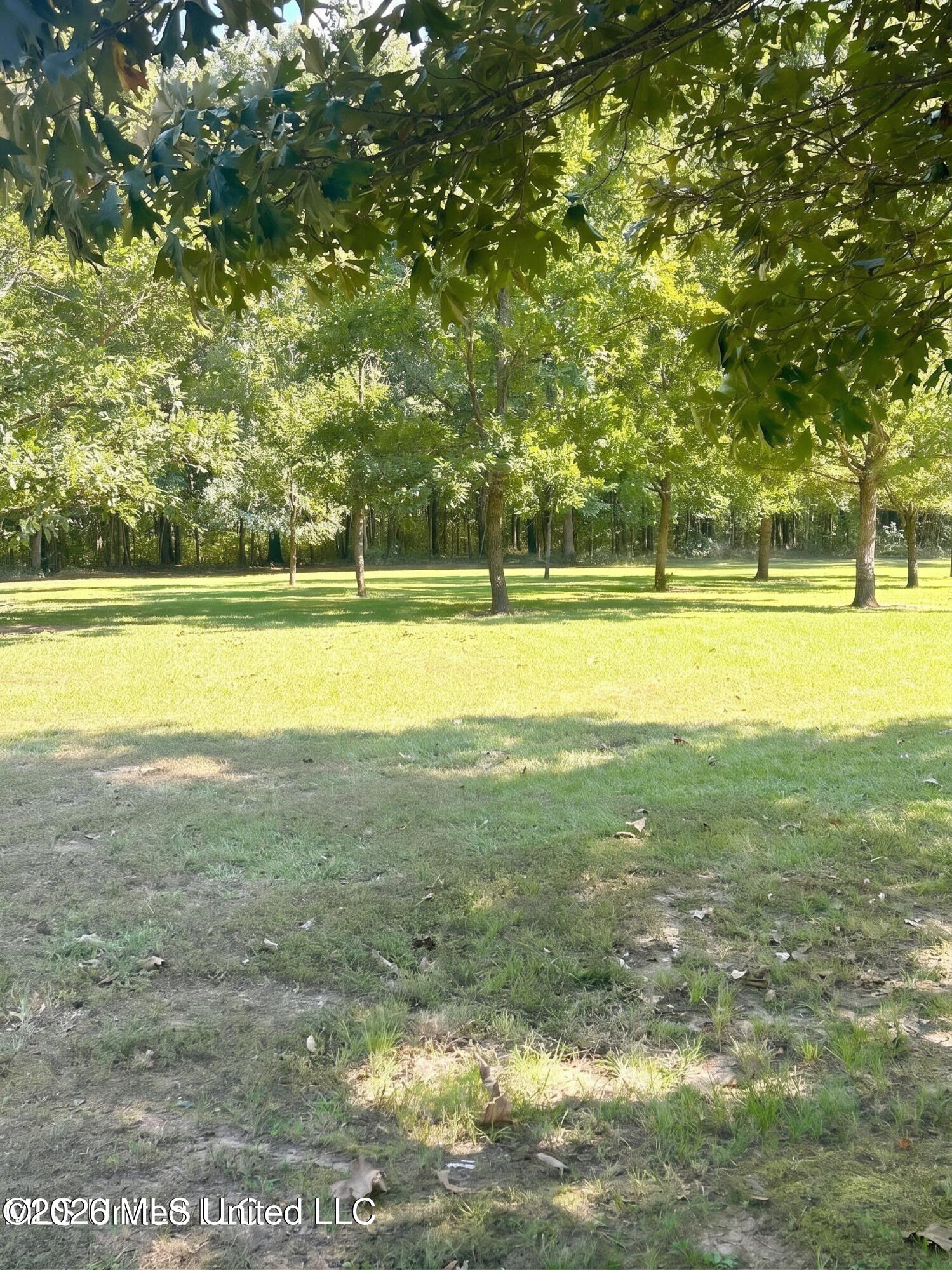 4811 Holcomb-sweethome Road Property Photo 7