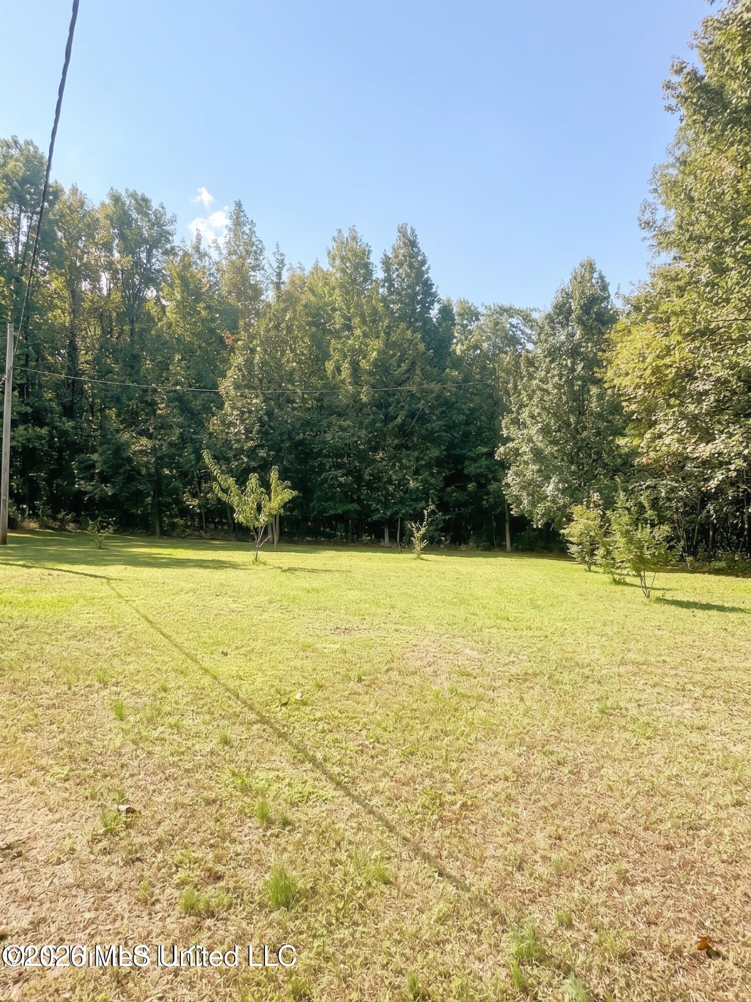4811 Holcomb-sweethome Road Property Photo 8
