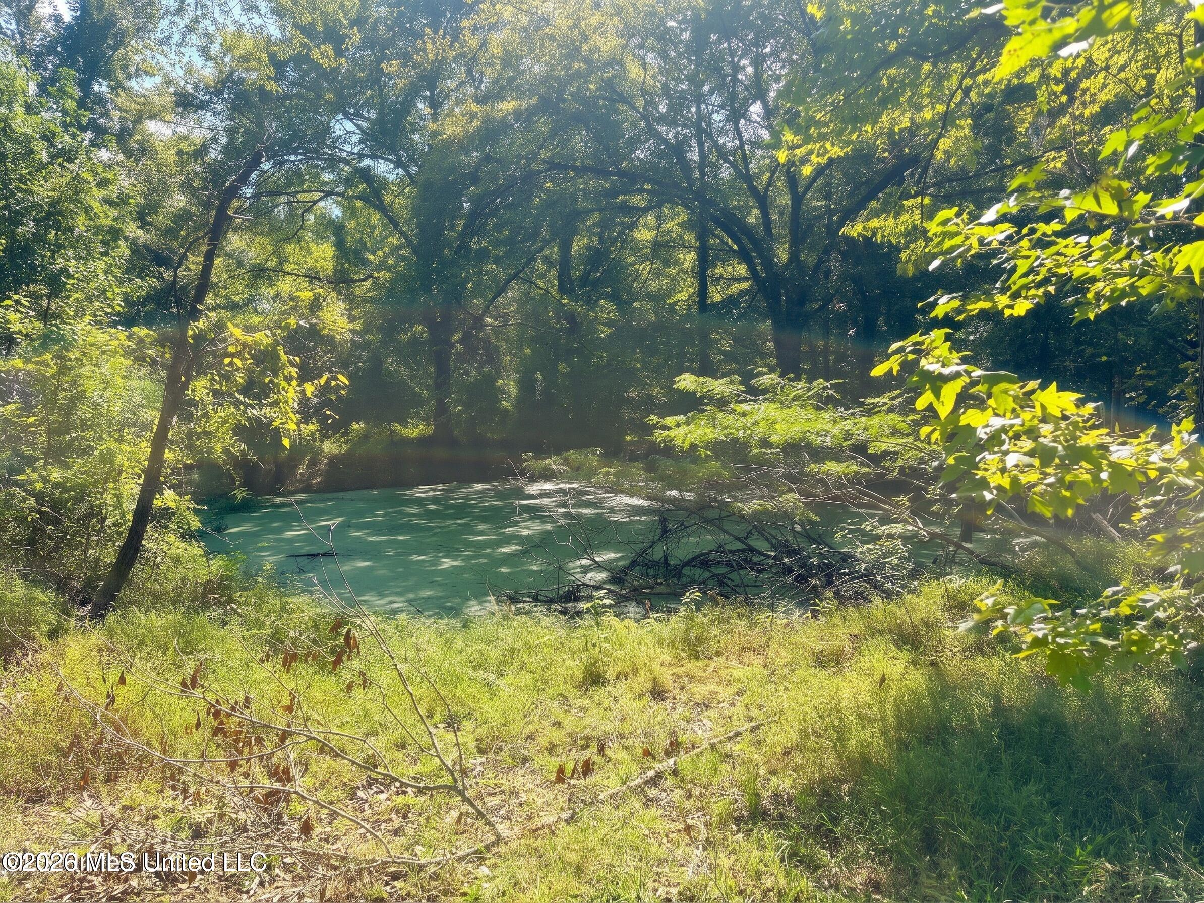 4811 Holcomb-sweethome Road Property Photo 10