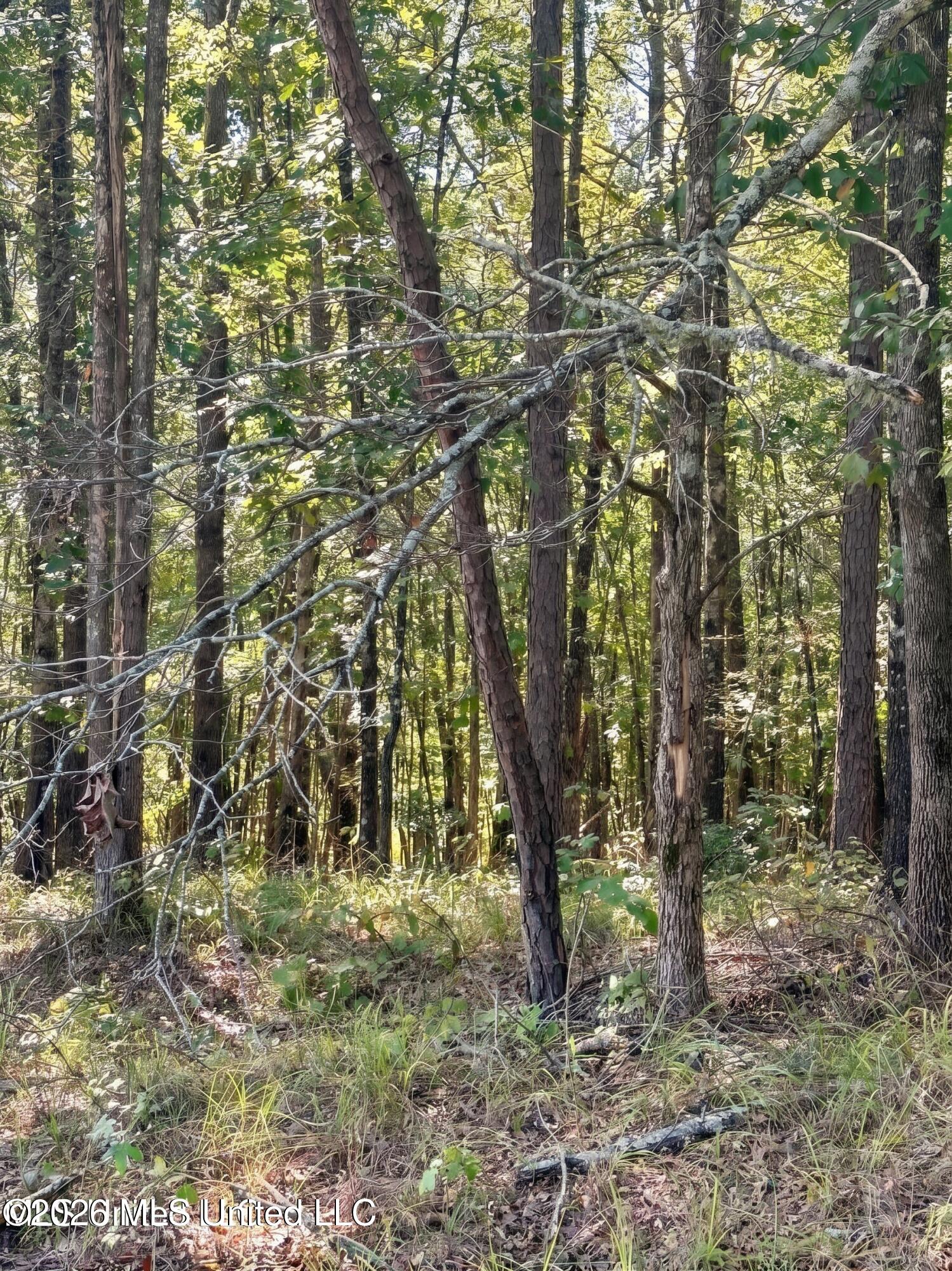4811 Holcomb-sweethome Road Property Photo 11