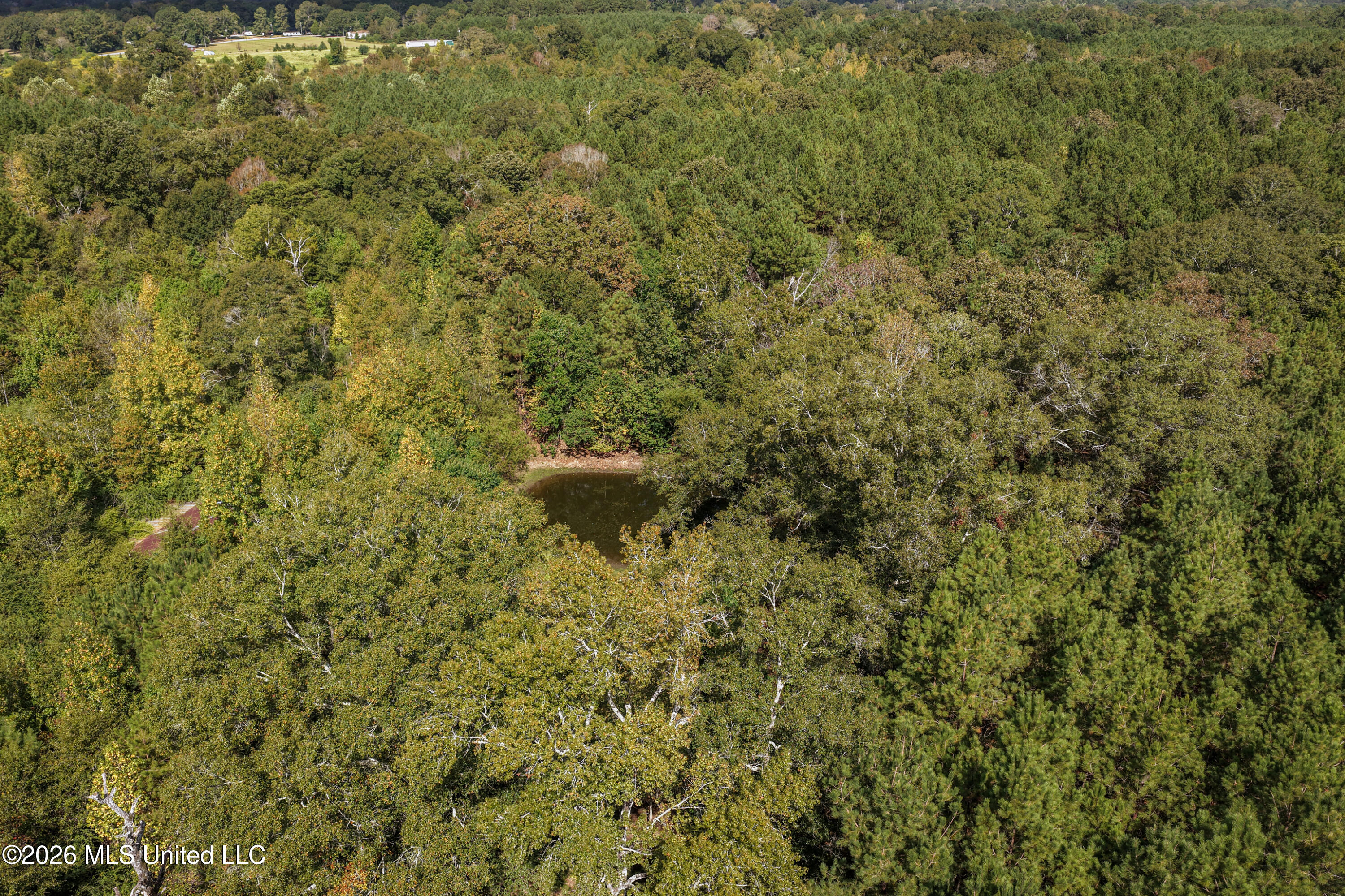 Allen Lane Property Photo 3