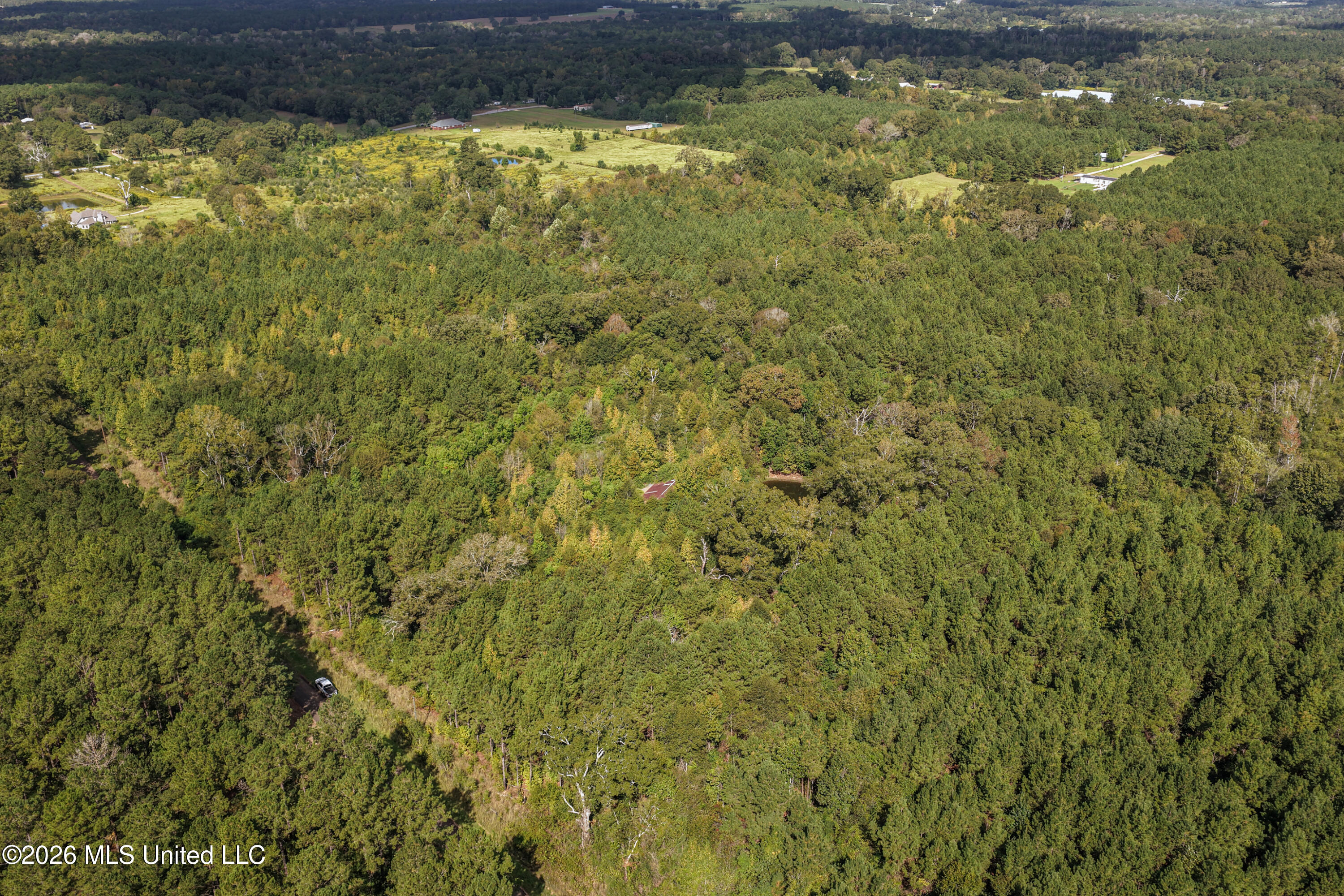 Allen Lane Property Photo 6