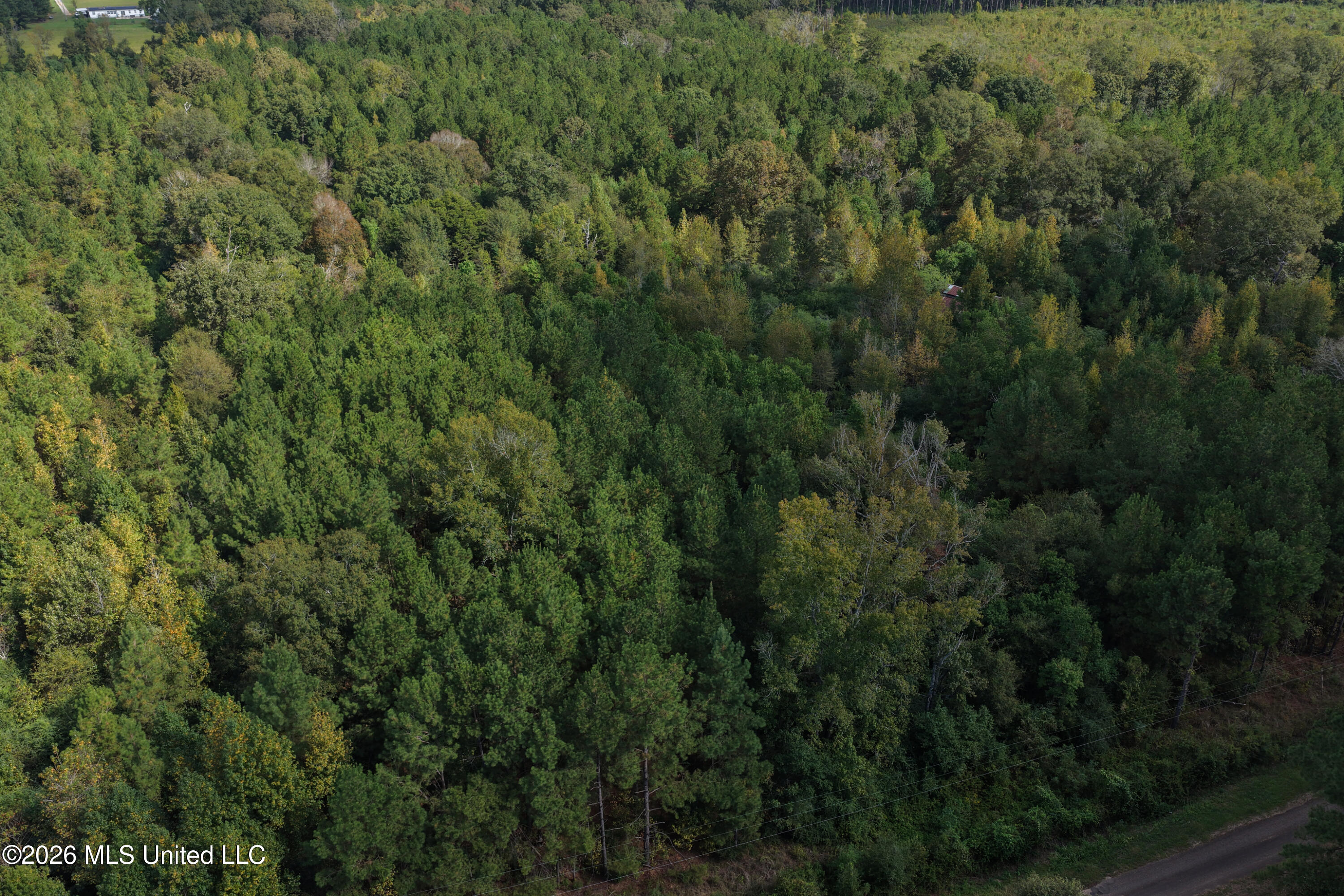 Allen Lane Property Photo 8