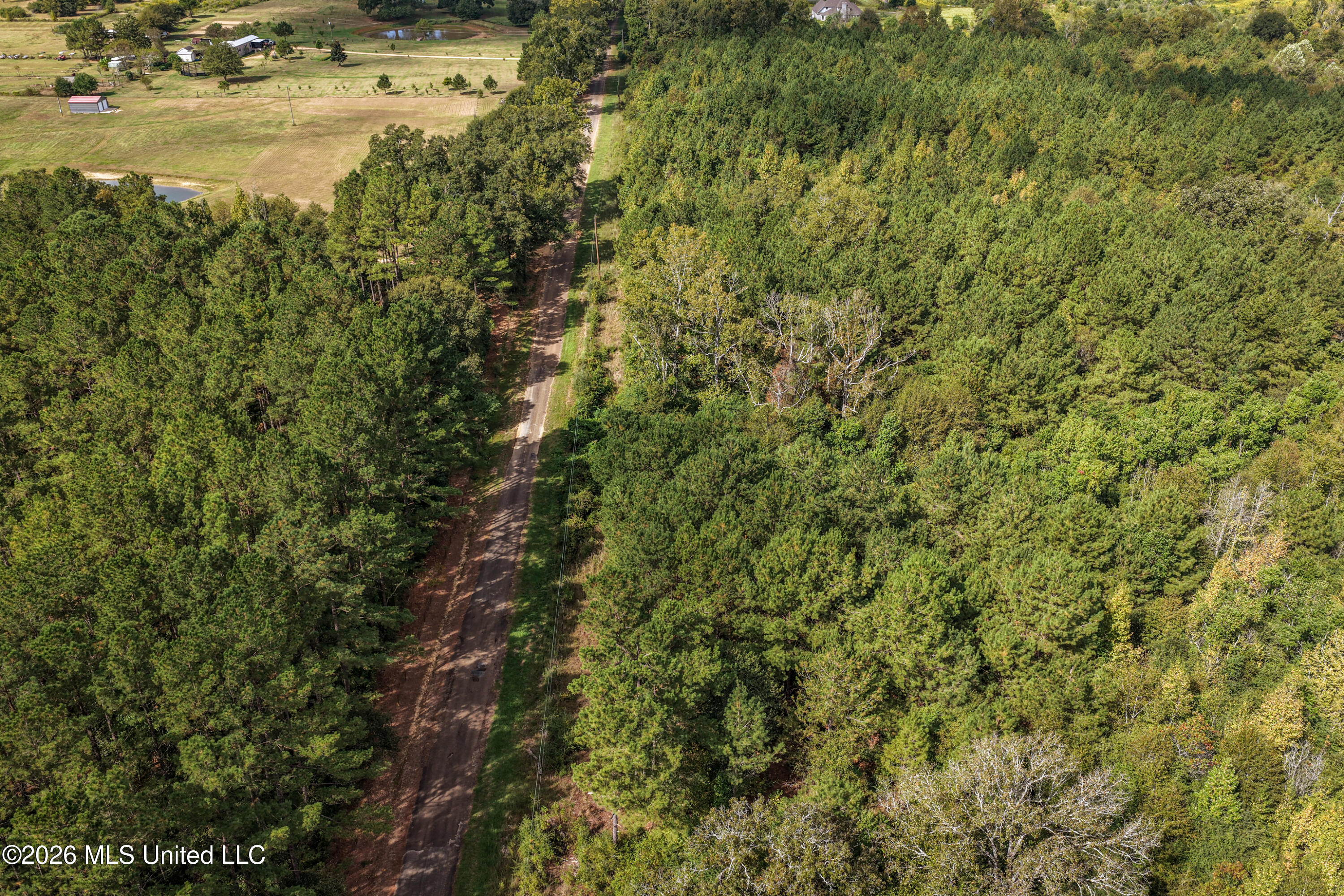 Allen Lane Property Photo 15