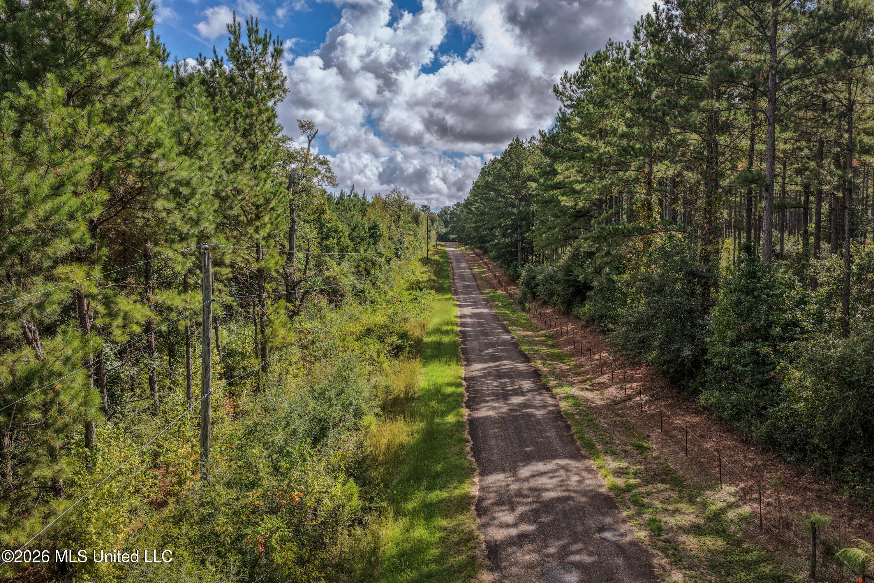 Allen Lane Property Photo 18