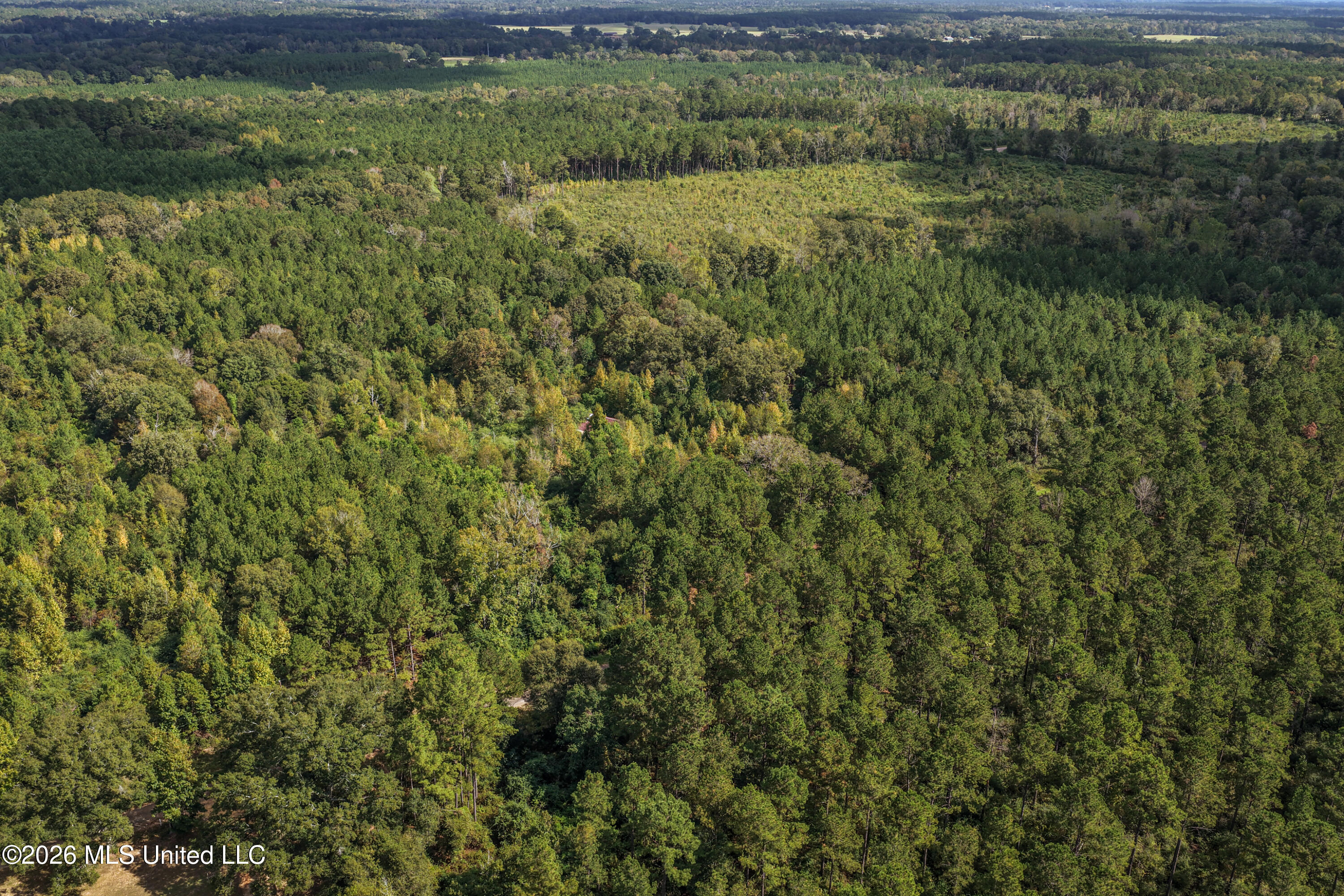 Allen Lane Property Photo 19
