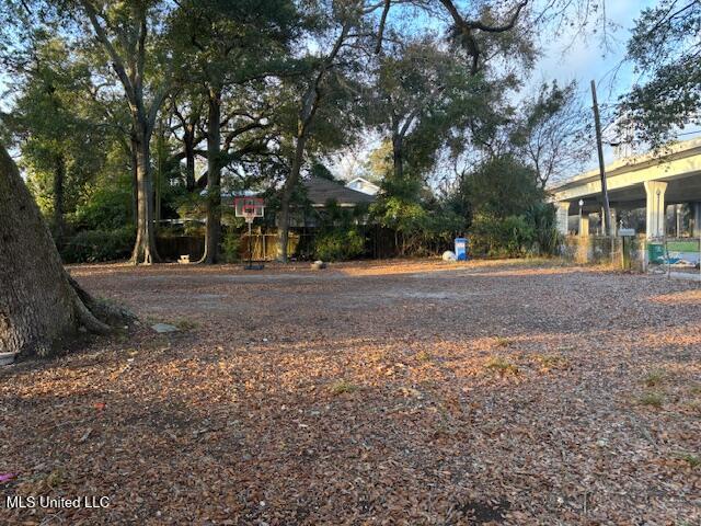 205 Hopkins Boulevard Property Photo 2