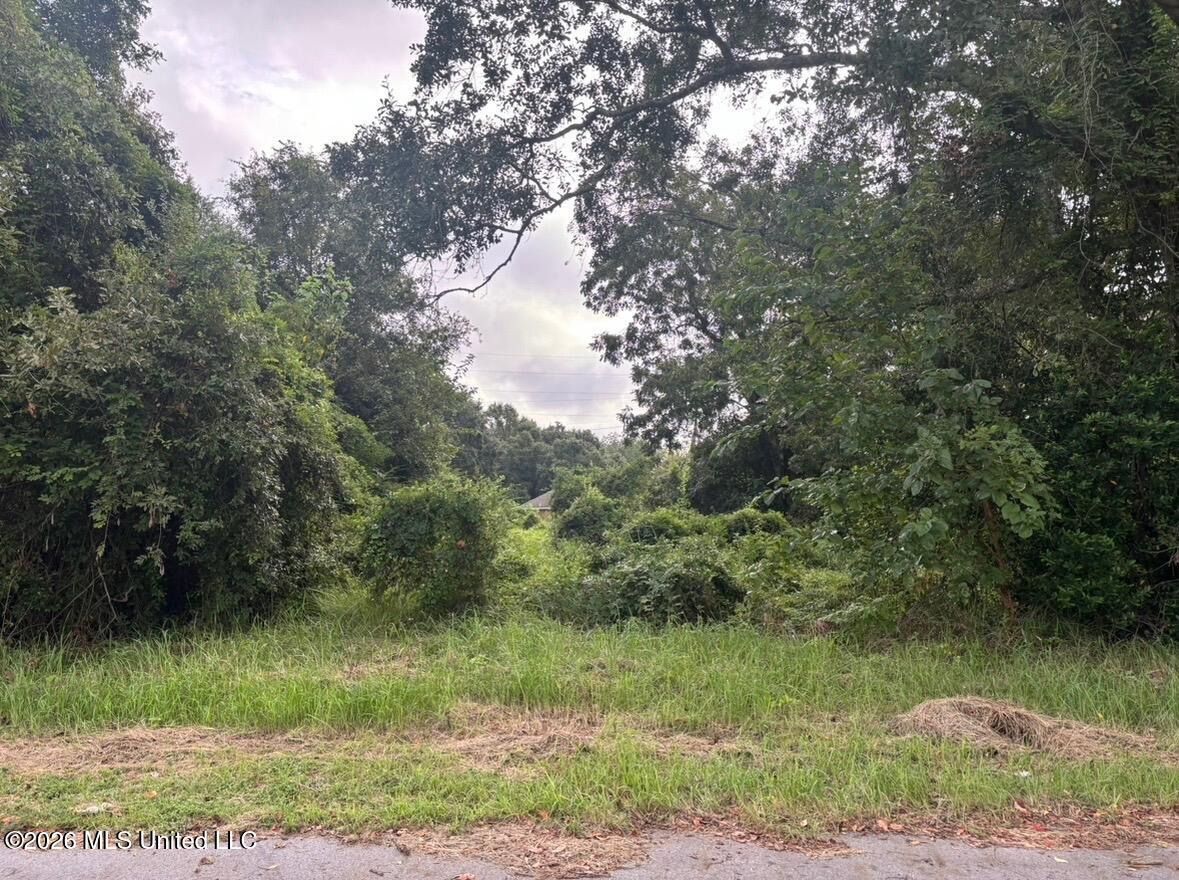 0 49th Avenue Property Photo 1