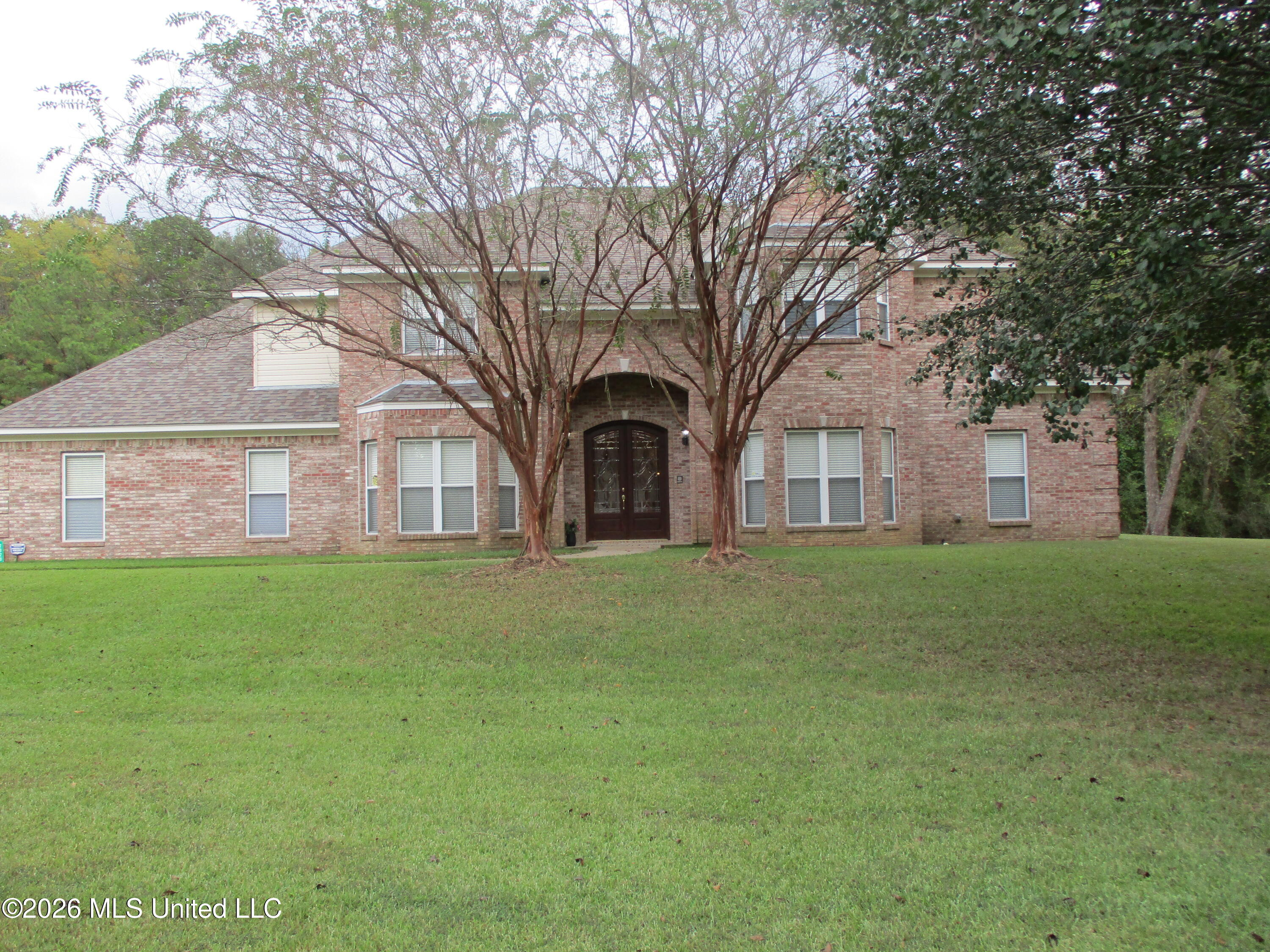 2020 Elizabeth Chapman Drive Property Photo 4