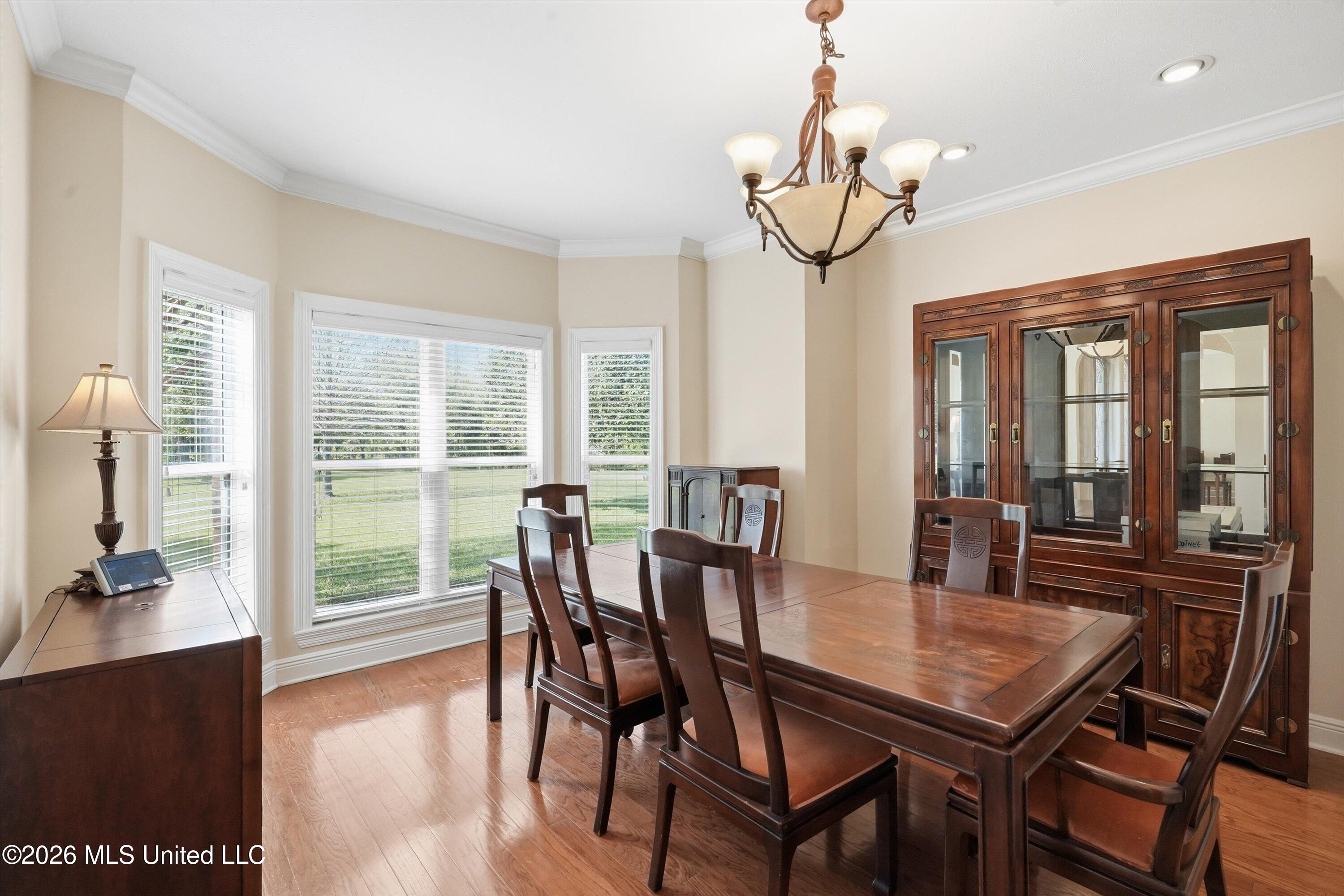 2020 Elizabeth Chapman Drive Property Photo 8