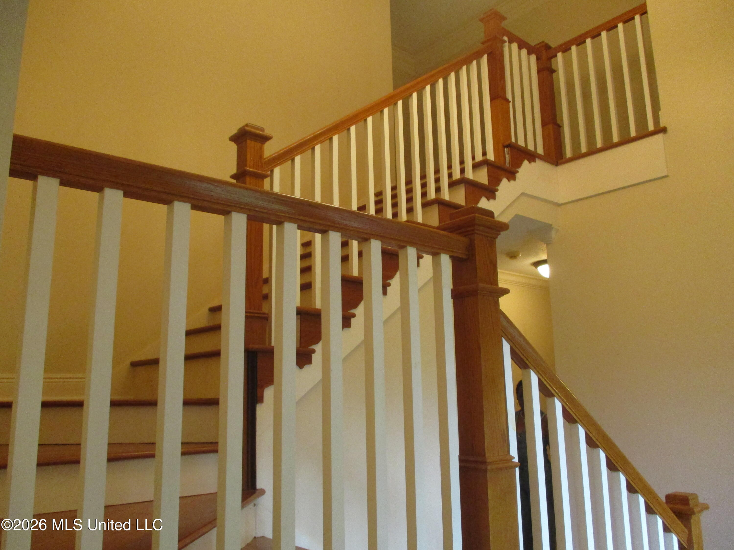 2020 Elizabeth Chapman Drive Property Photo 13