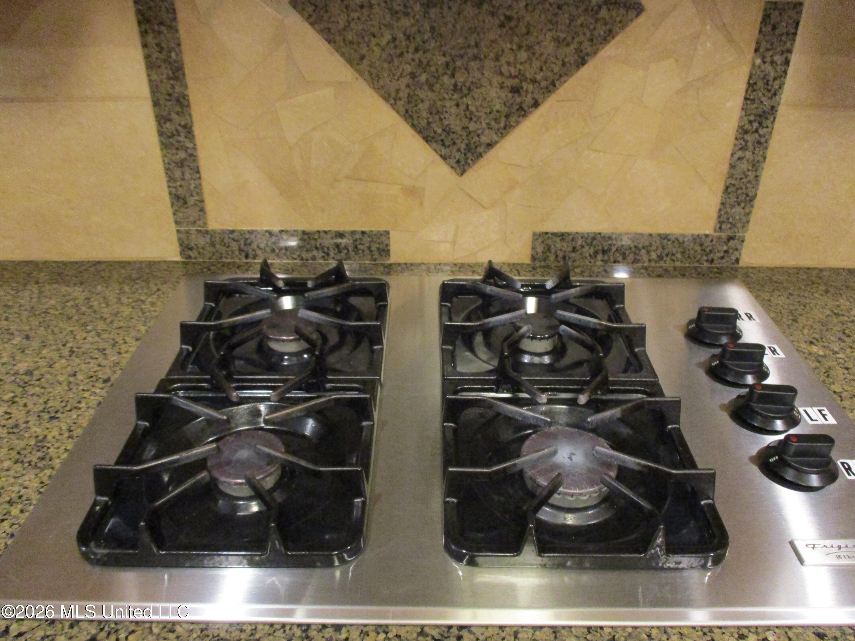 2020 Elizabeth Chapman Drive Property Photo 21