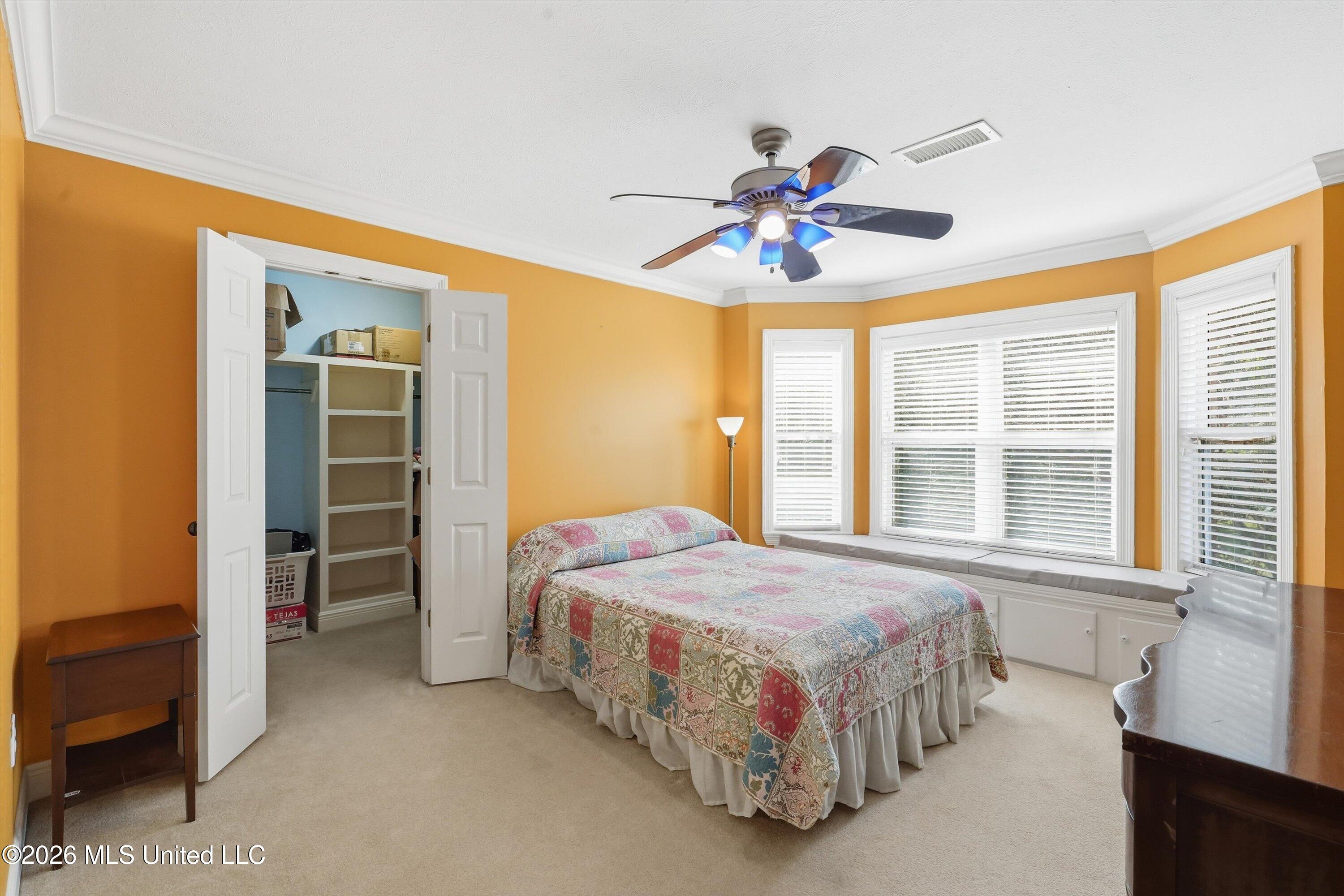 2020 Elizabeth Chapman Drive Property Photo 43