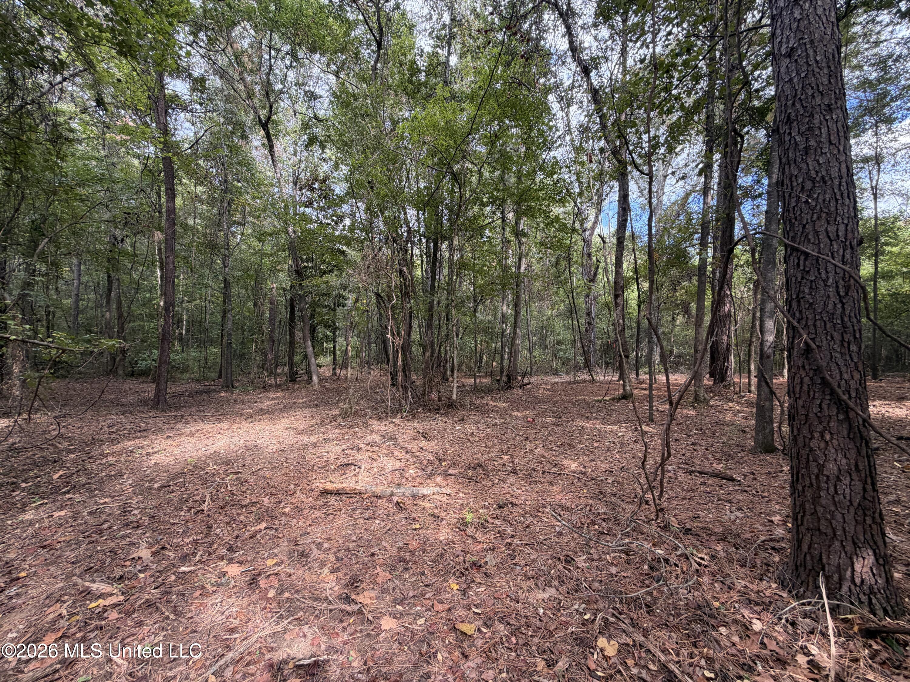 5220 E Highway 80 Property Photo 1