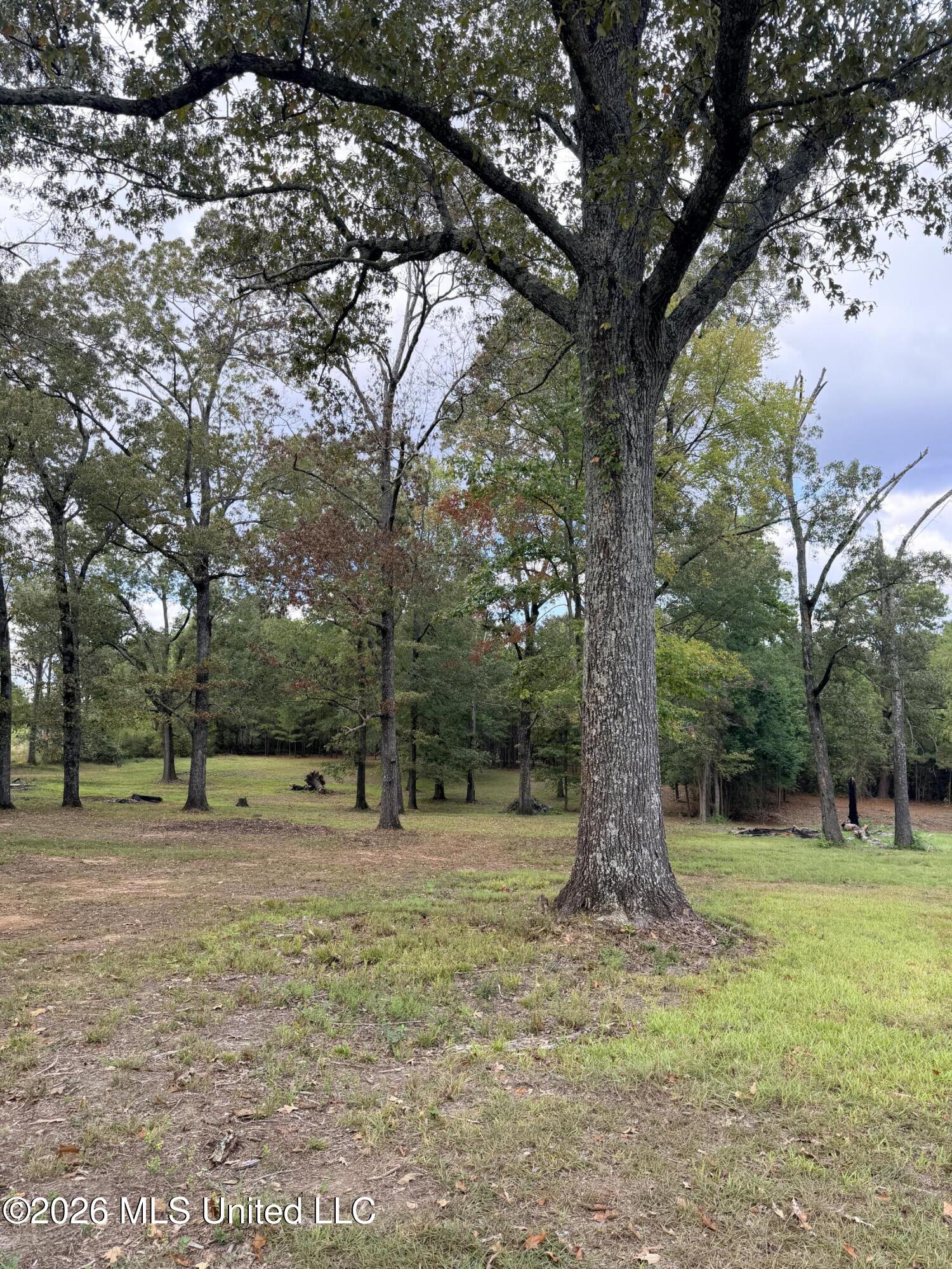 5220 E Highway 80 Property Photo 10