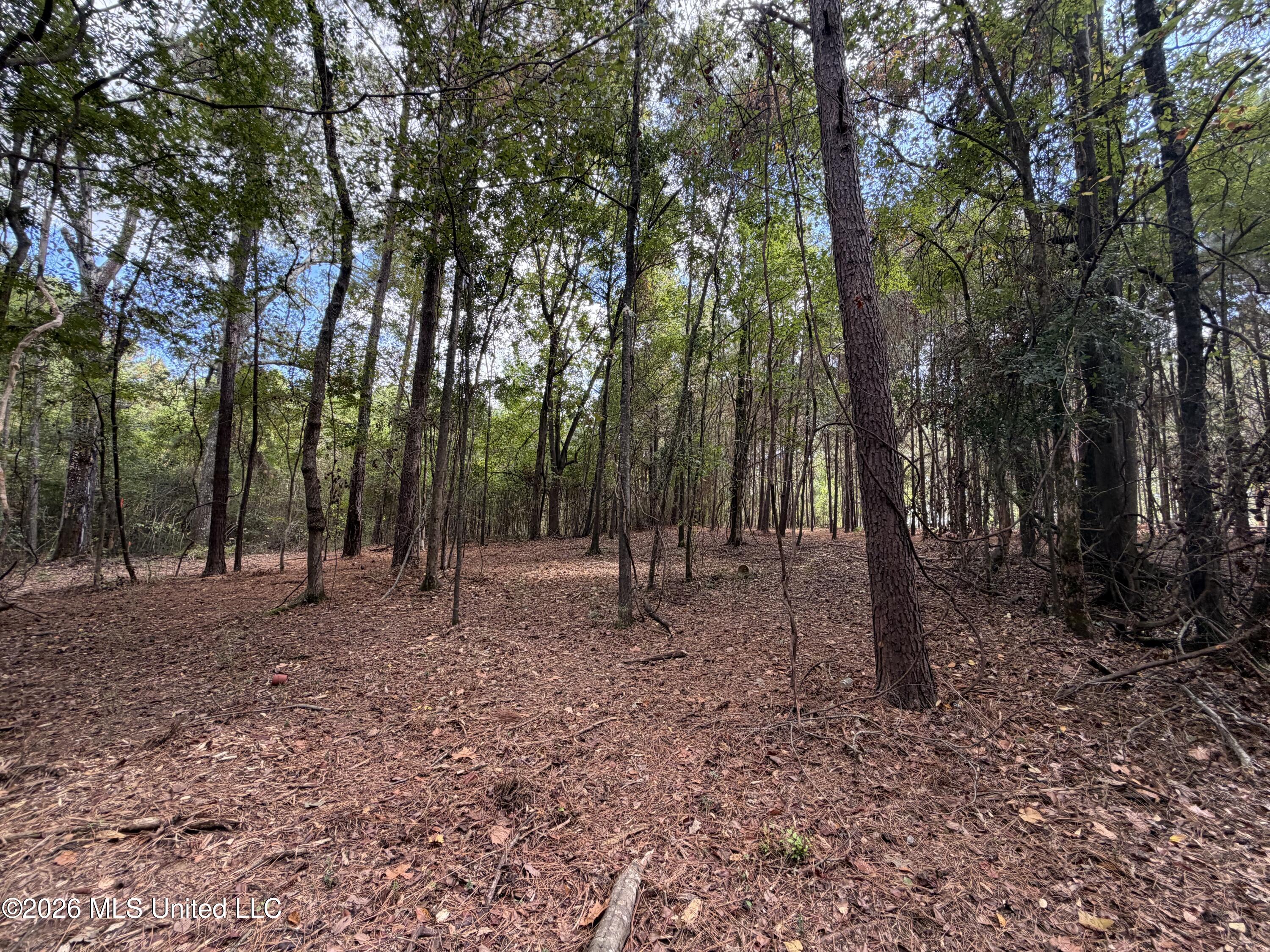 5220 E Highway 80 Property Photo 11