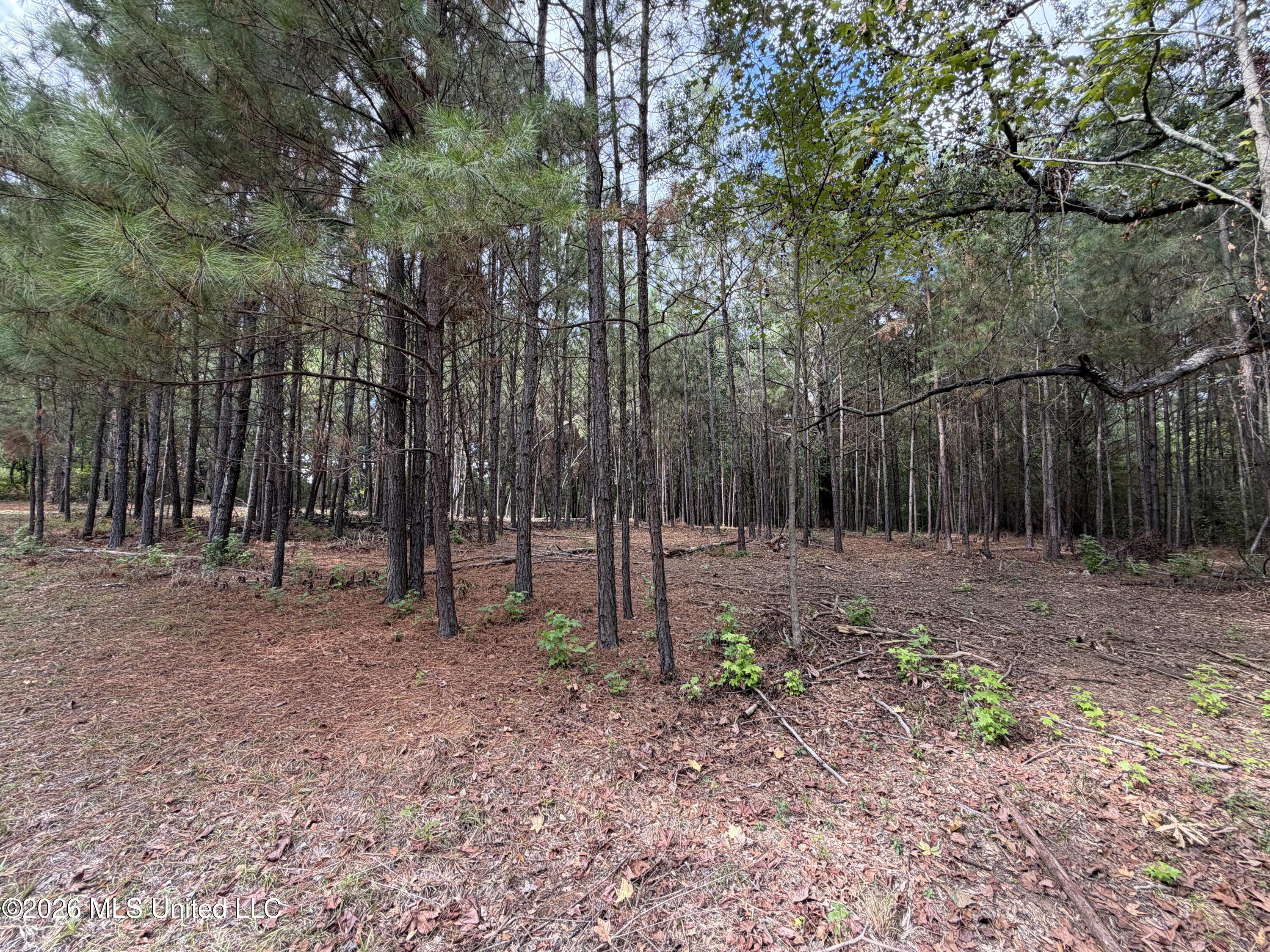 5220 E Highway 80 Property Photo 14