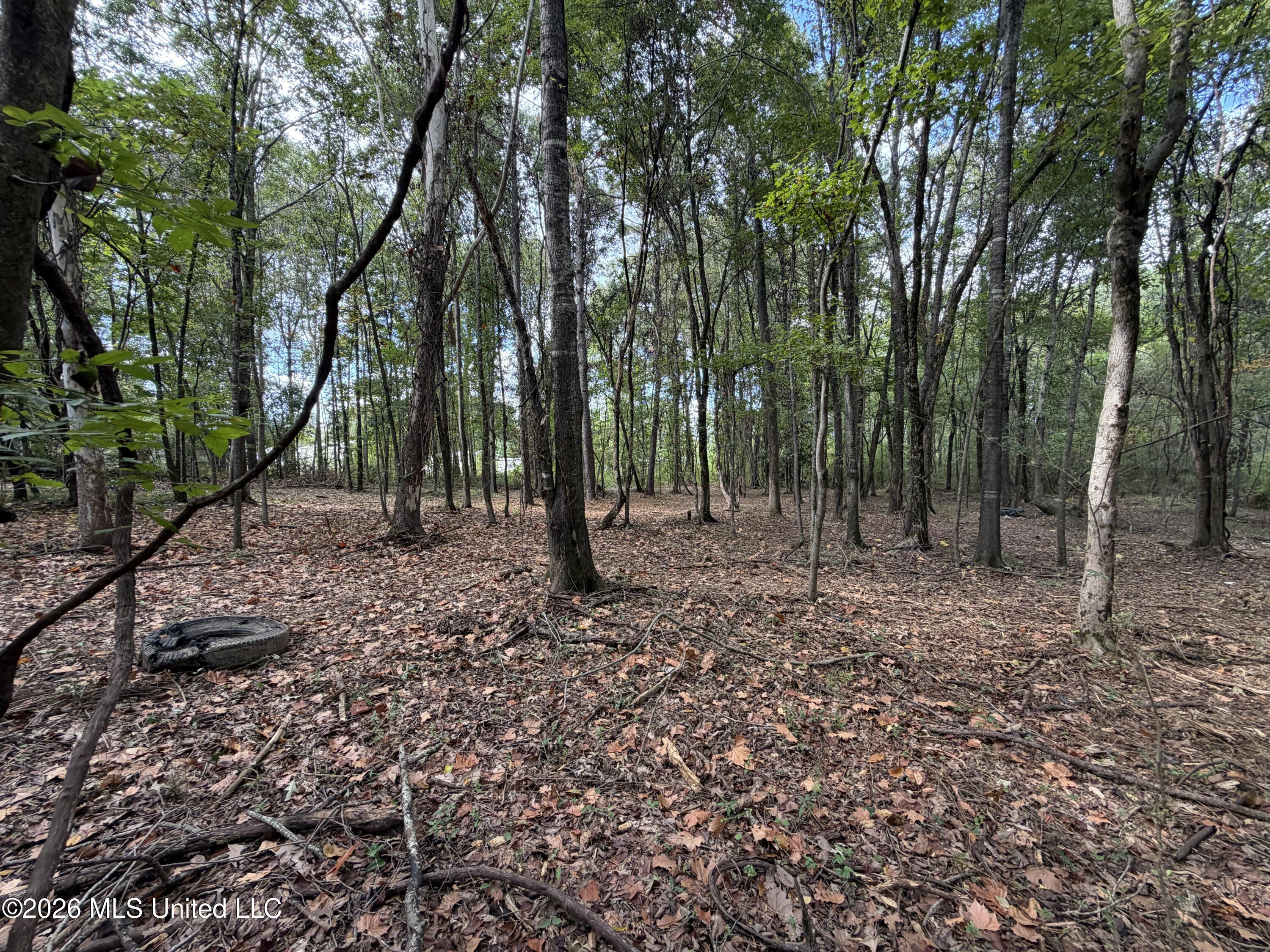 5220 E Highway 80 Property Photo 15