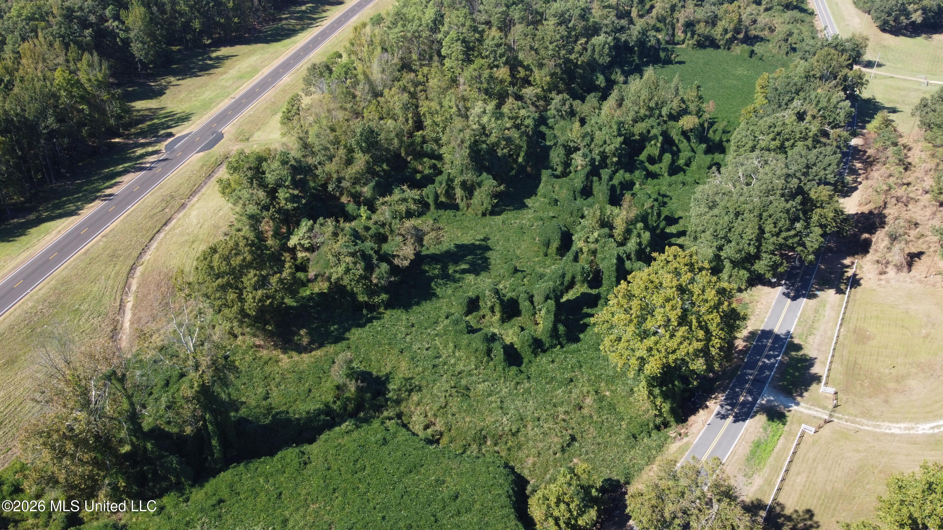 Old Mississippi 7 Property Photo 4