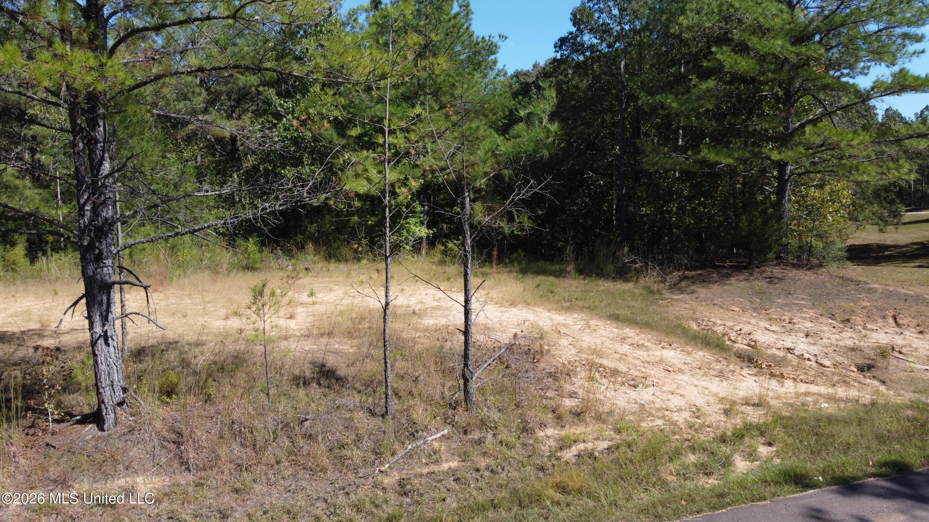 Jeffries Road Property Photo 8