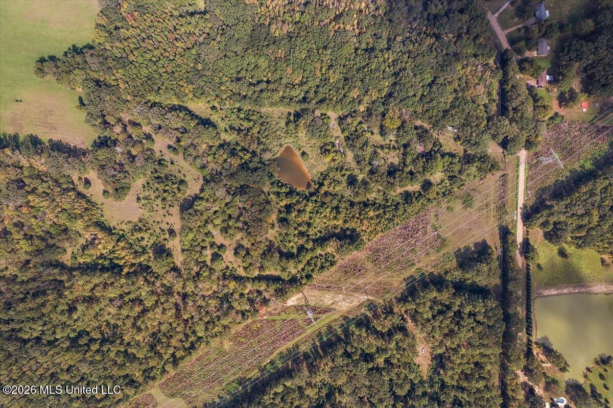 4461 Clinton Tinnin Road Property Photo 2