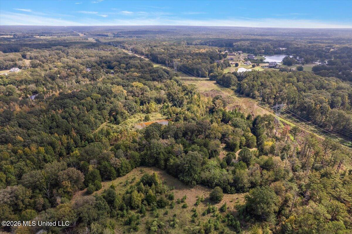 4461 Clinton Tinnin Road Property Photo 6